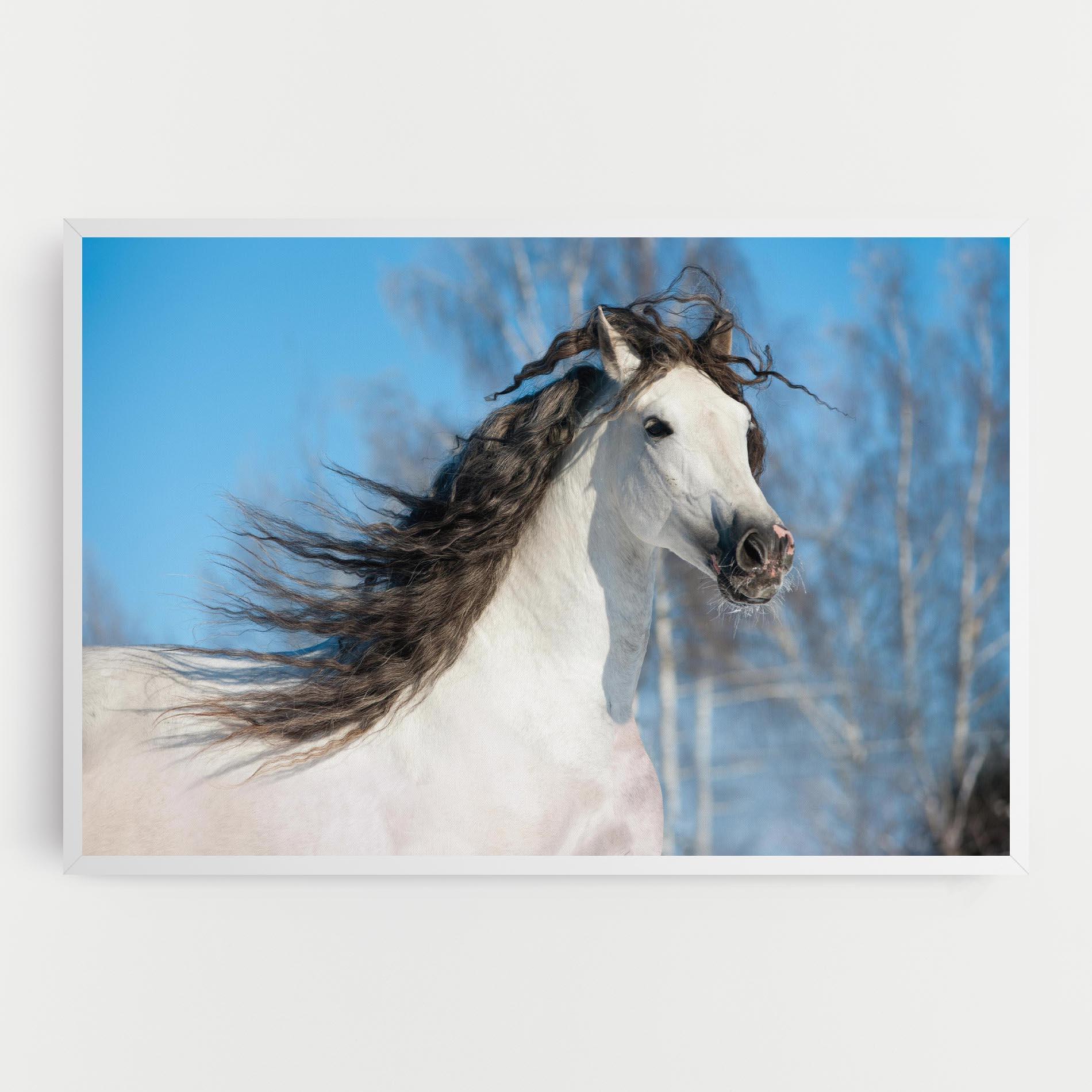 Tablou Canvas Wild Black Hair Horse mockup 0