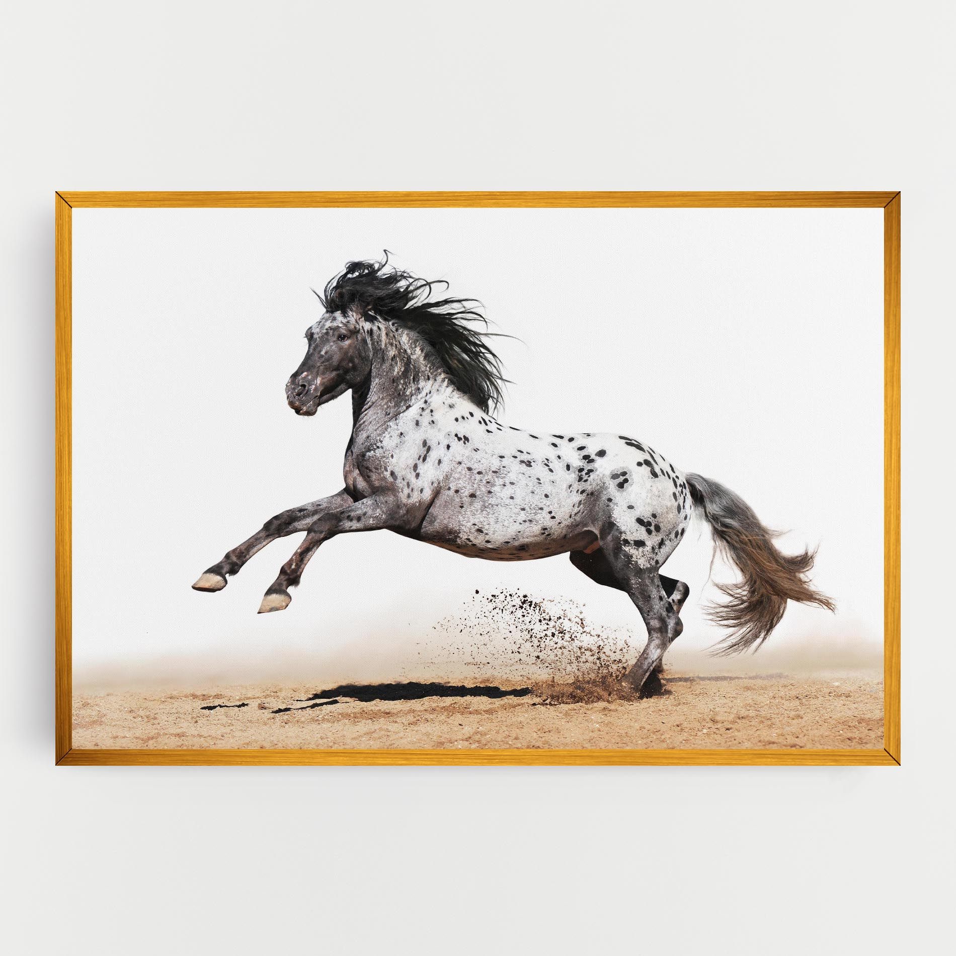 Appaloosa Horse Running mockup 0
