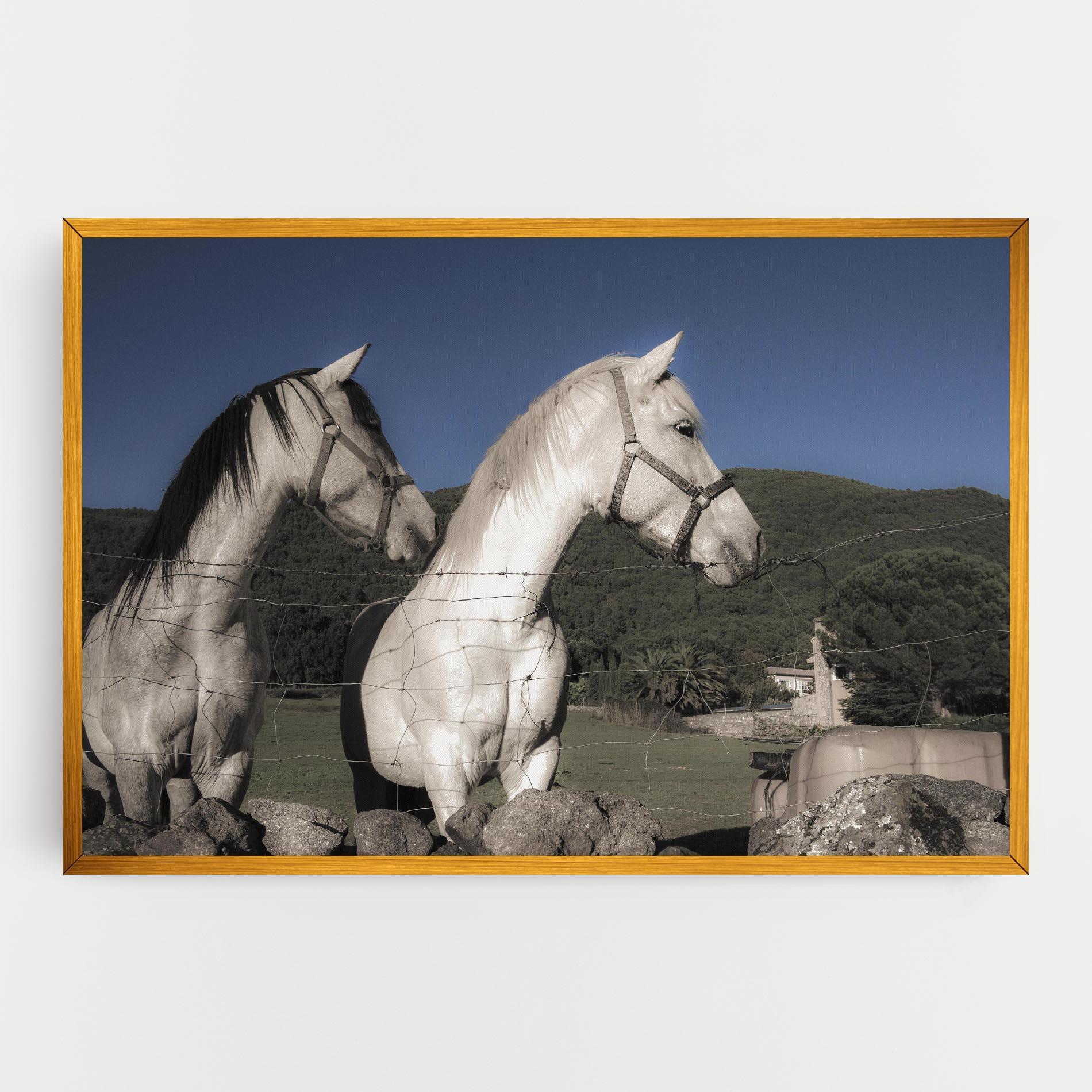 Tablou Canvas White Grey Horse mockup 0