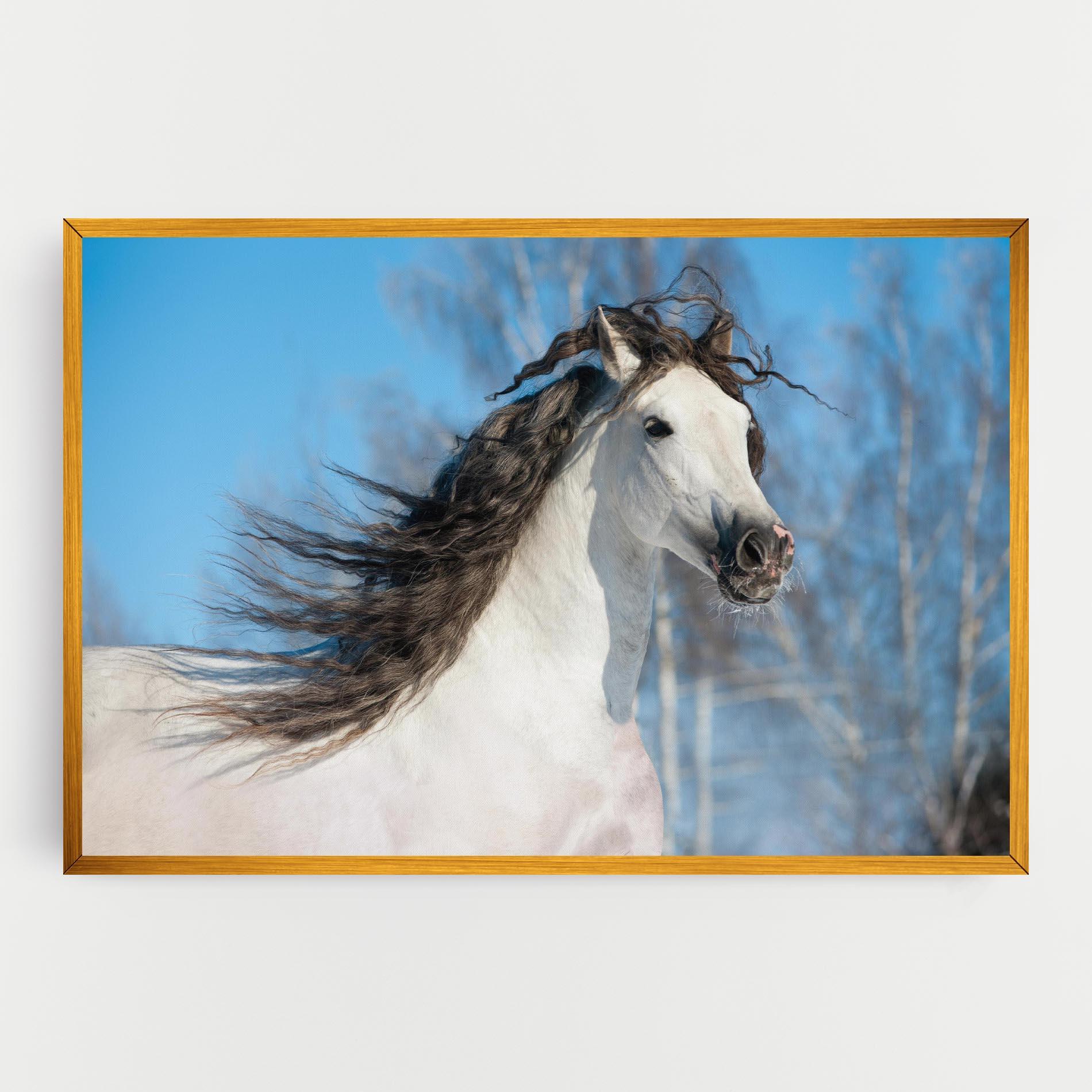 Tablou Canvas Wild Black Hair Horse mockup 0