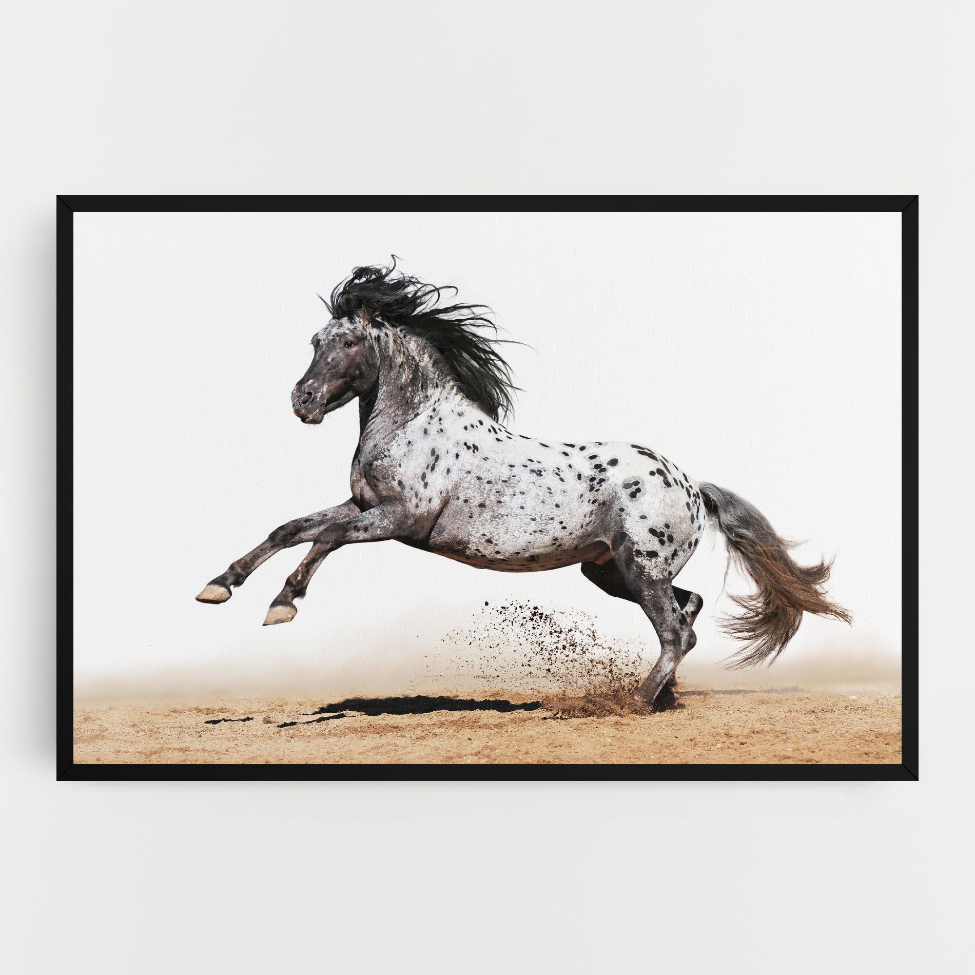 Appaloosa Horse Running mockup 0