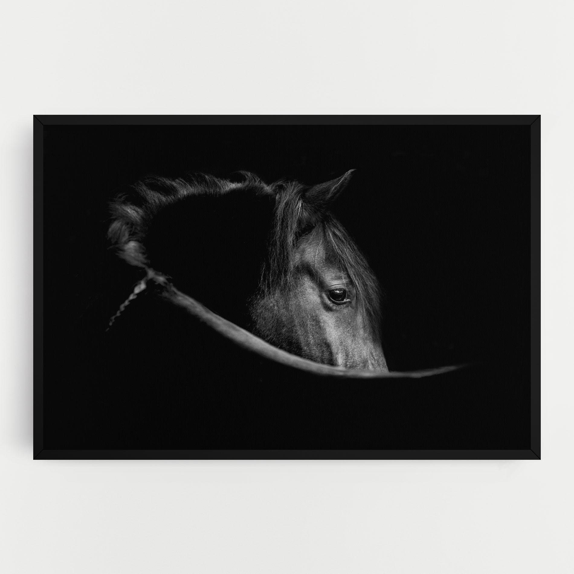 Tablou Canvas Black Horse Looking mockup 0