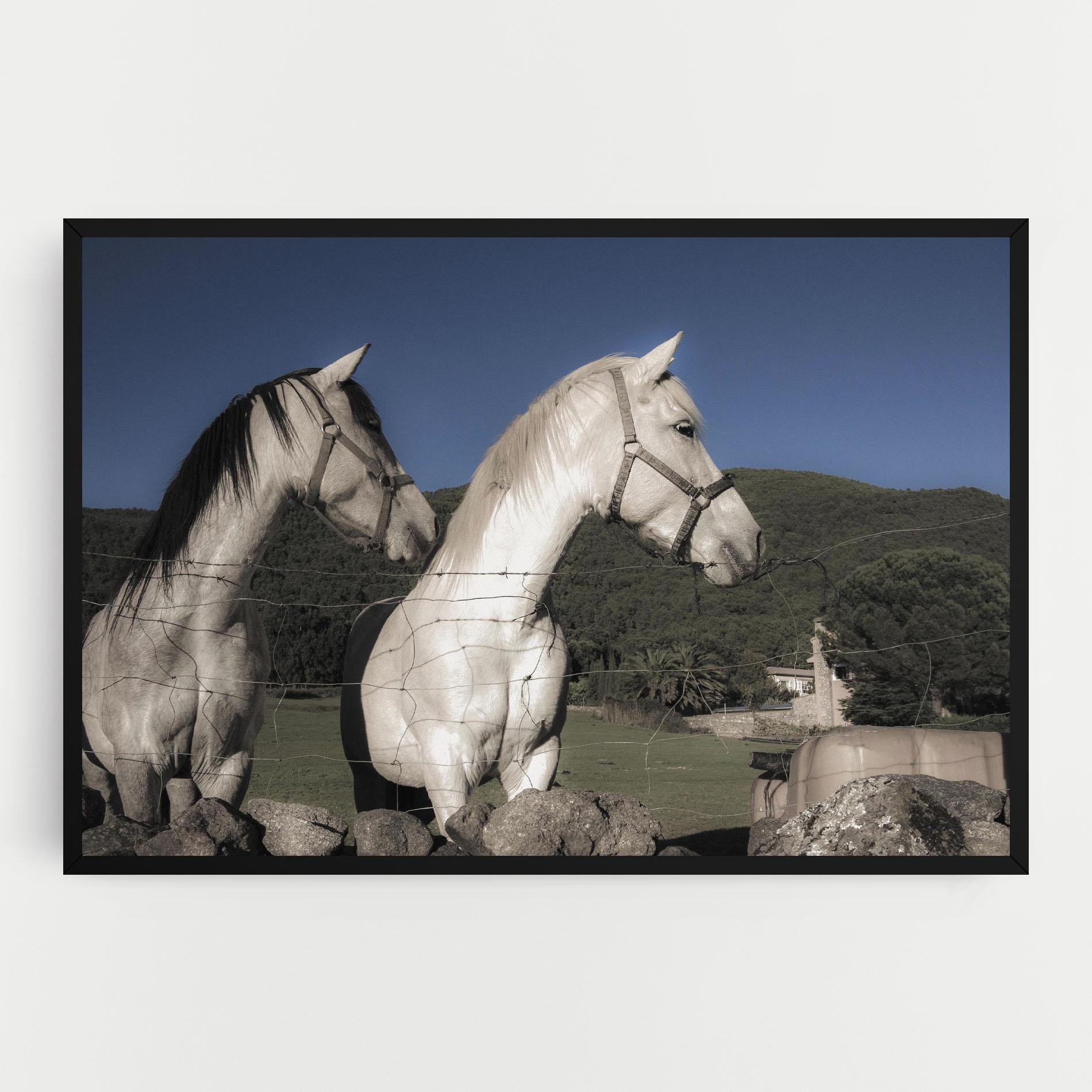 Tablou Canvas White Grey Horse mockup 0