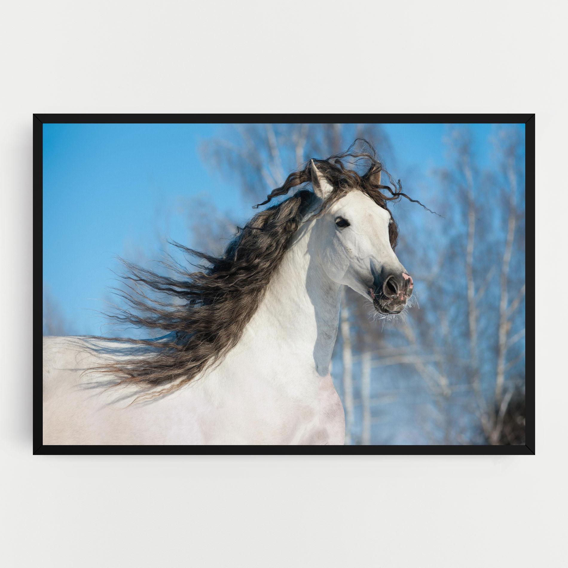 Tablou Canvas Wild Black Hair Horse mockup 0