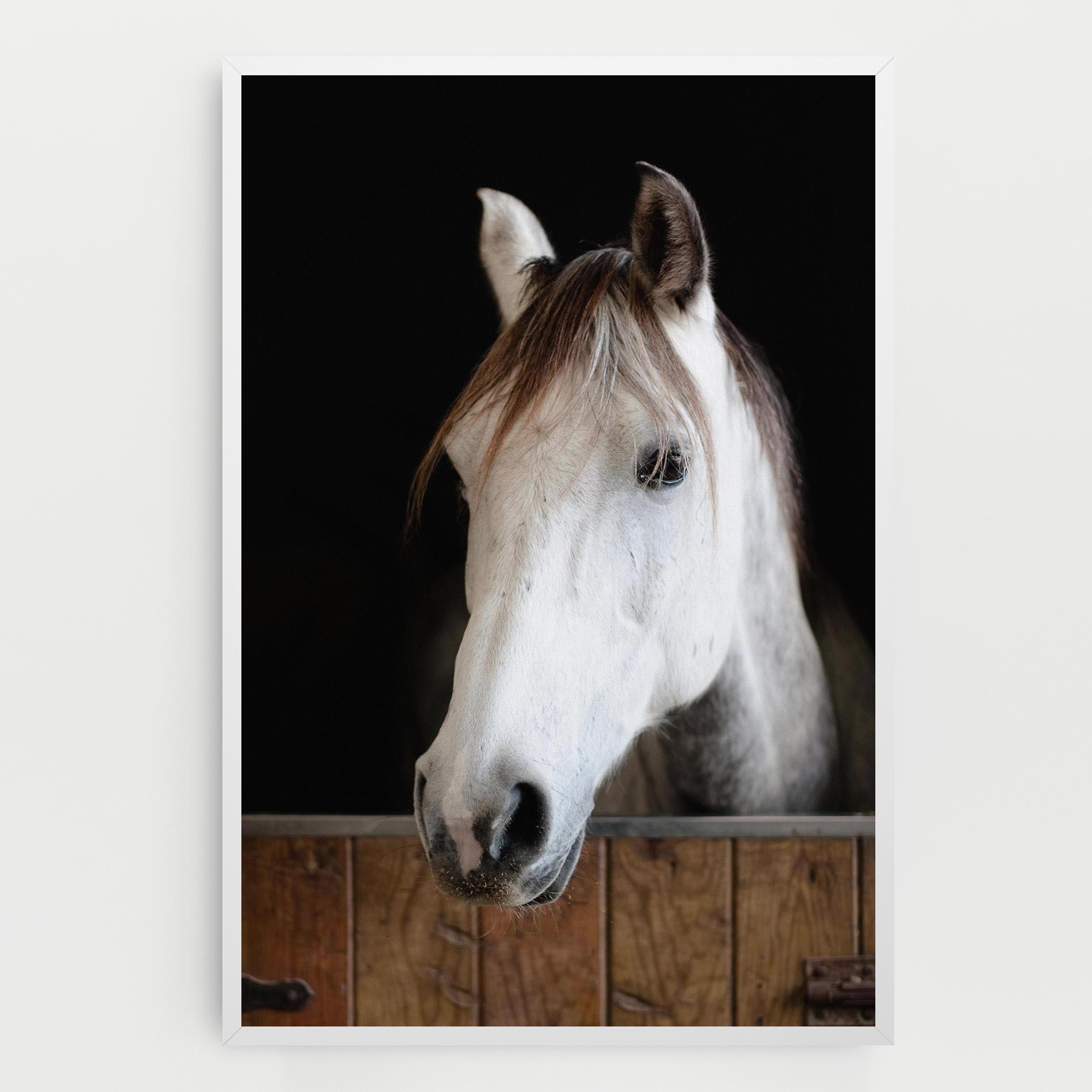 Tablou Canvas Grey Horse Head mockup 0