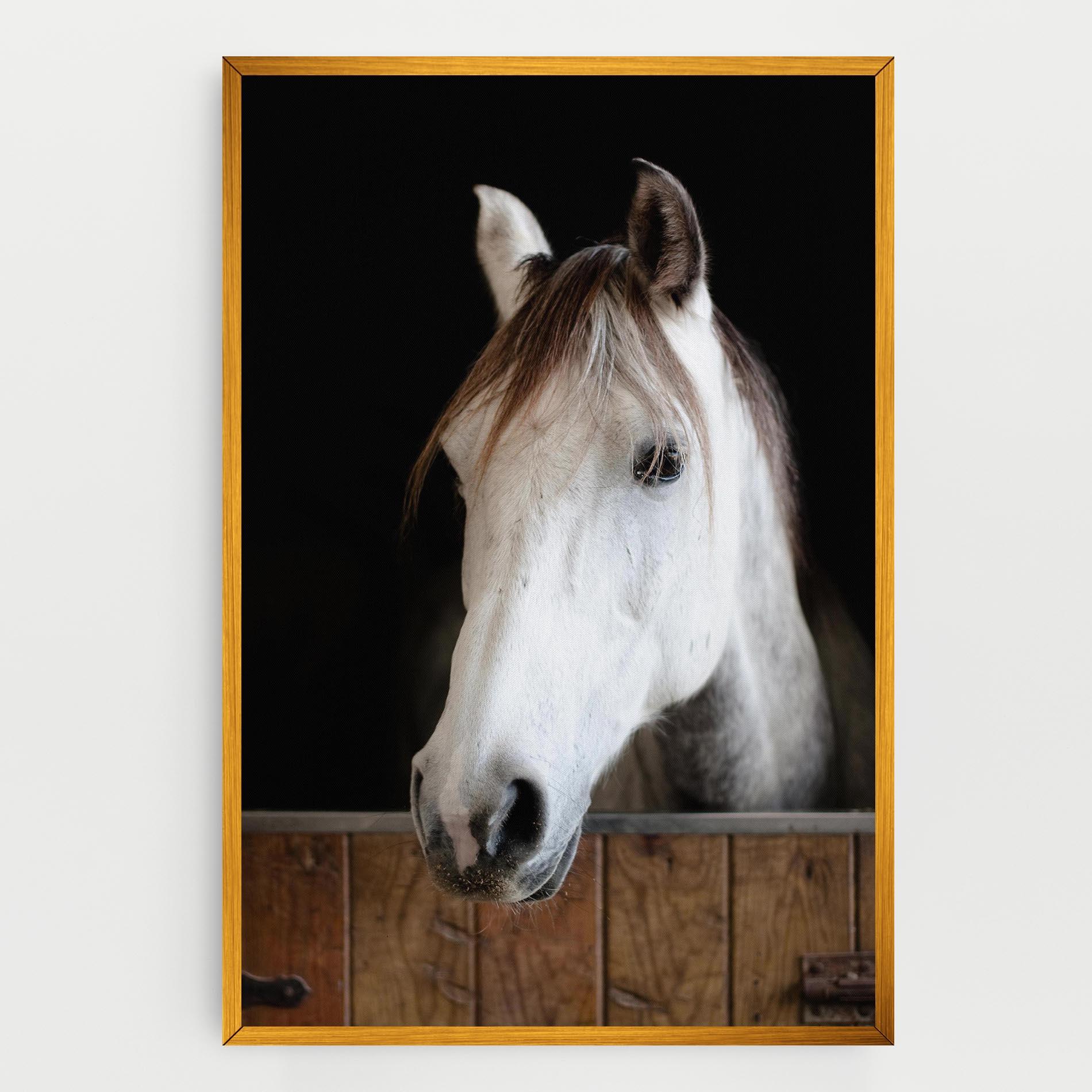 Tablou Canvas Grey Horse Head mockup 0