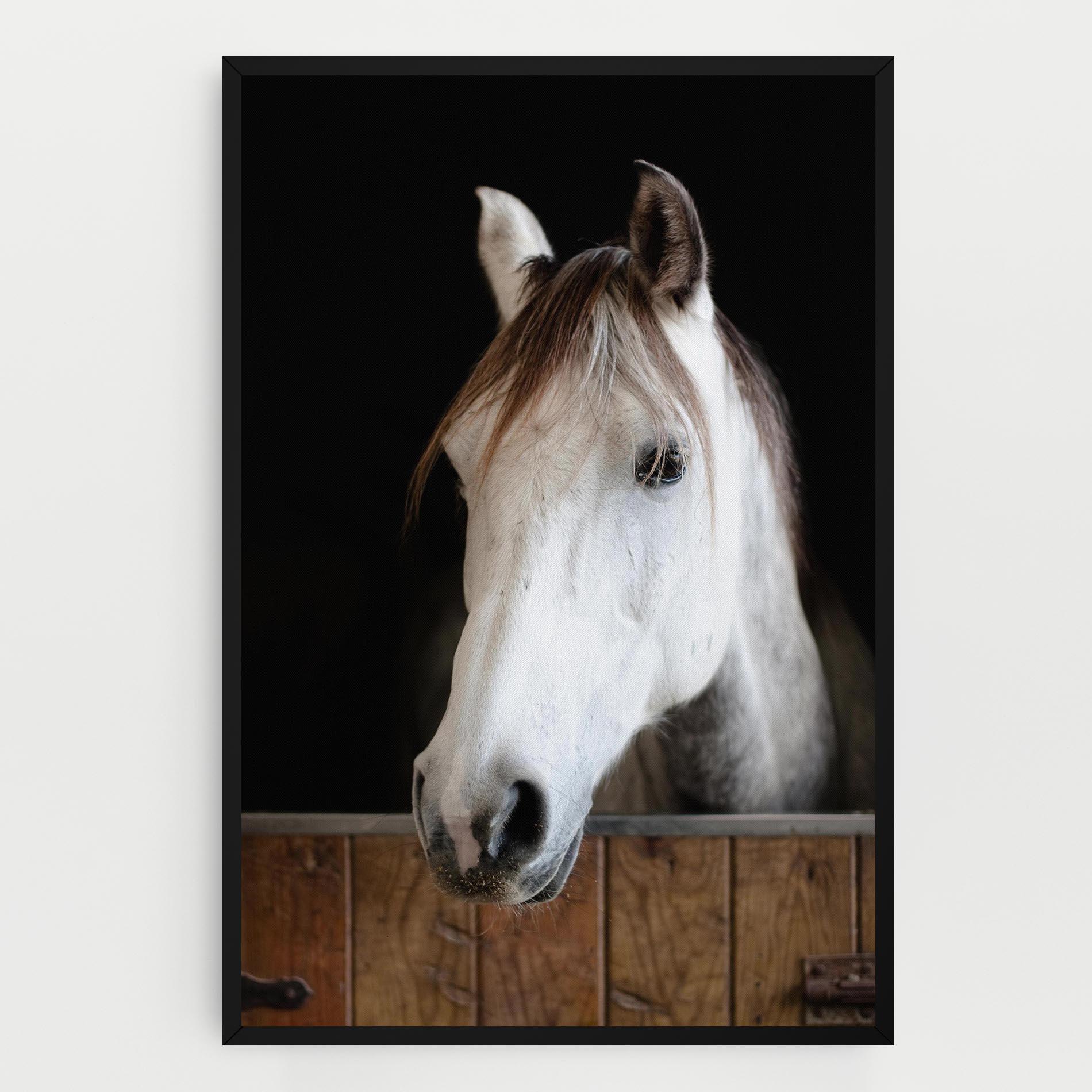 Tablou Canvas Grey Horse Head mockup 0