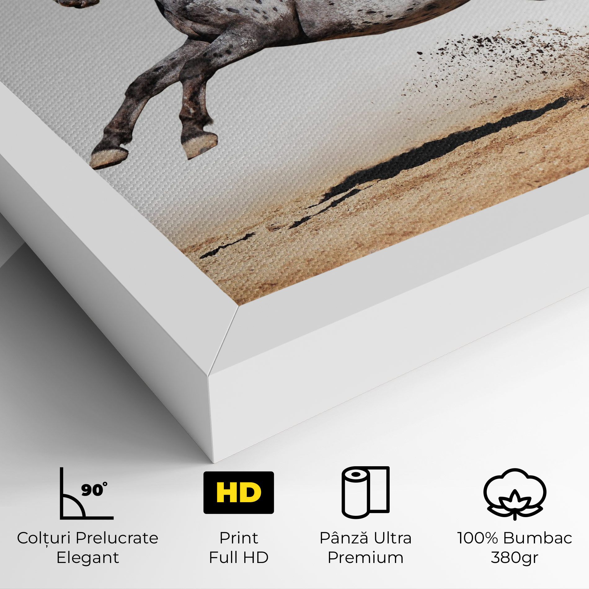 Appaloosa Horse Running mockup 4