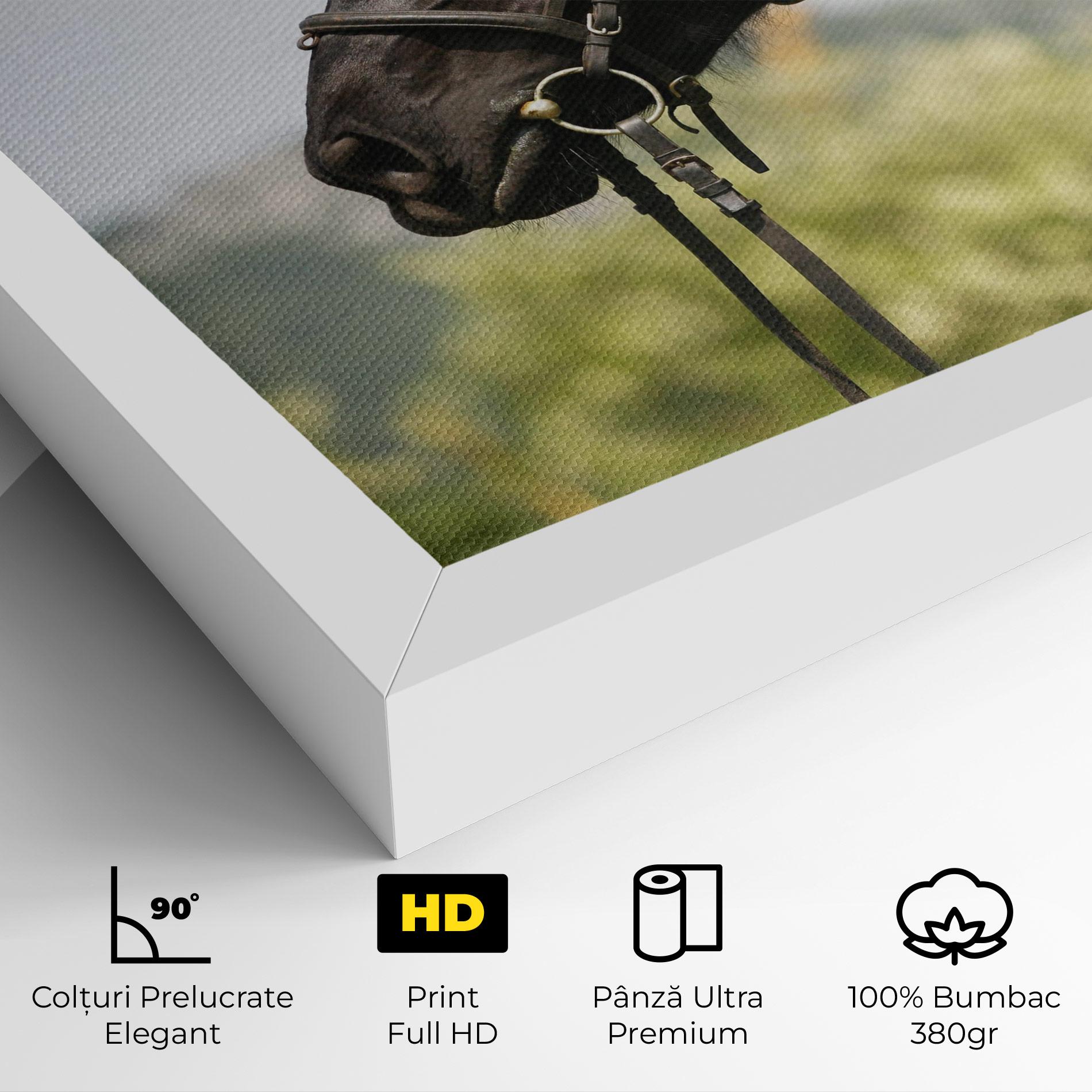 Tablou Canvas Big Ear Horse mockup 4