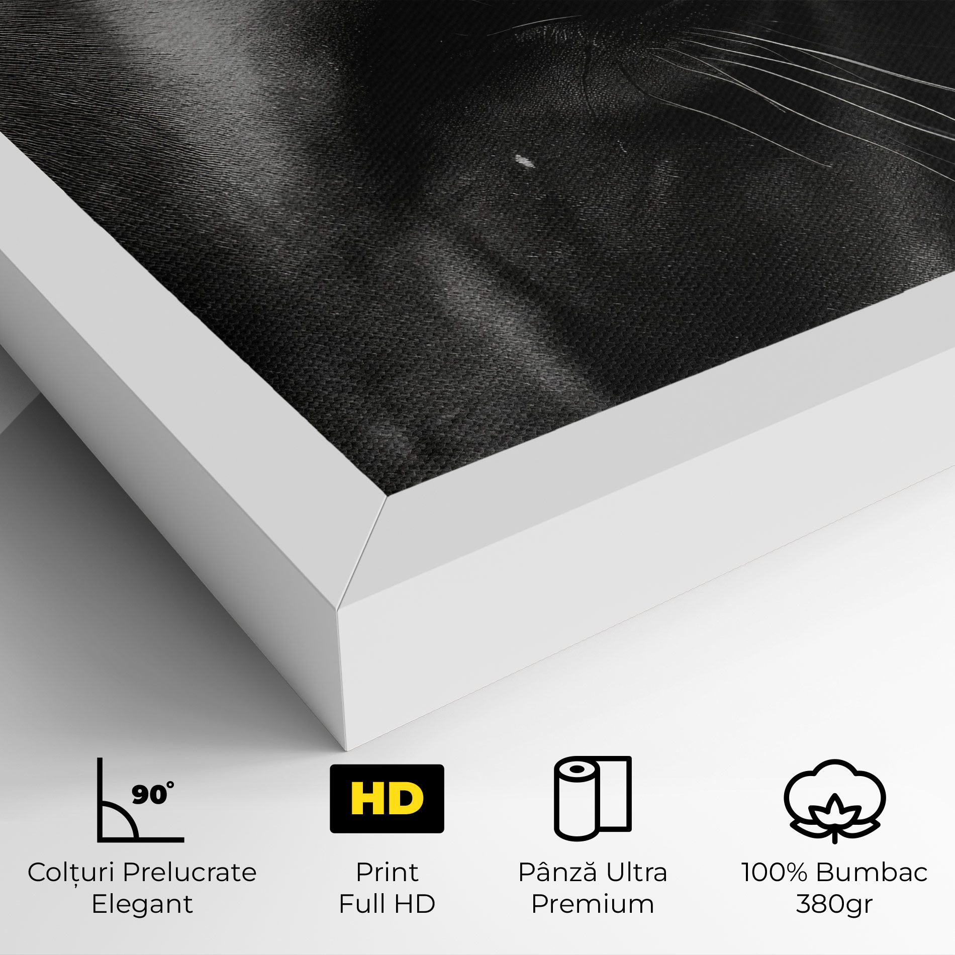 Black Horse Eye mockup 4