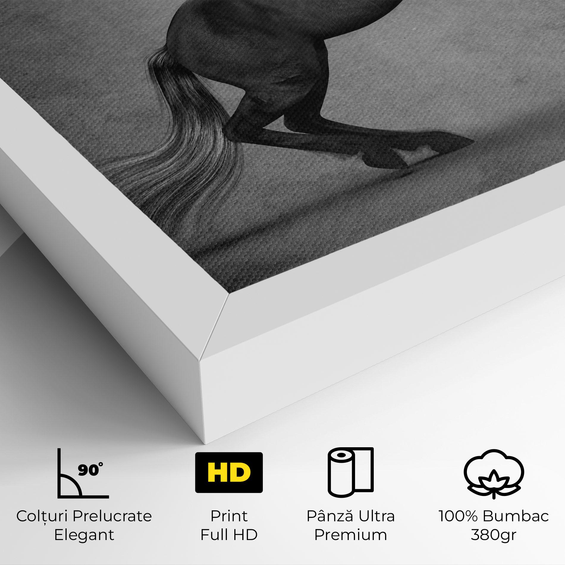 Tablou Canvas Black Horse Jumping mockup 4