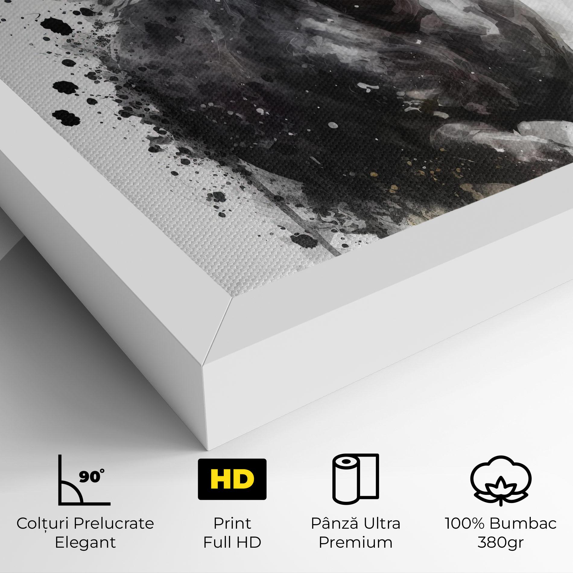 Tablou Canvas Black Horse mockup 4