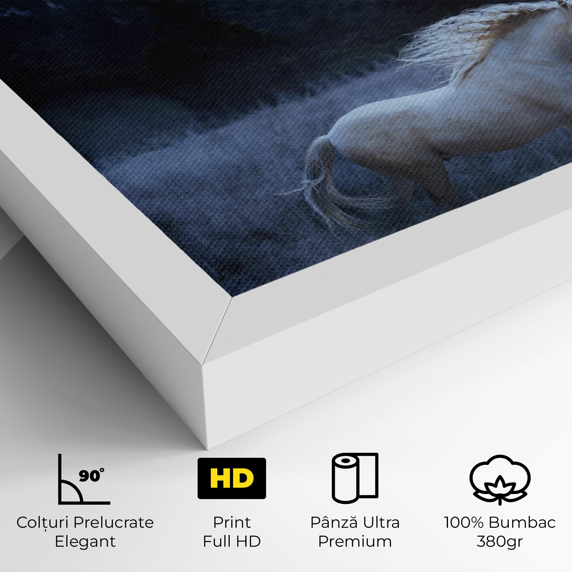 Tablou Canvas Blue Moon Unicorn mockup 4