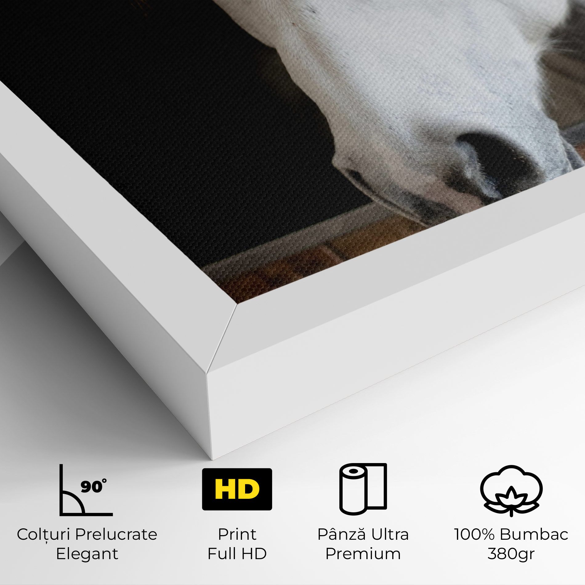 Grey Horse Head mockup 4