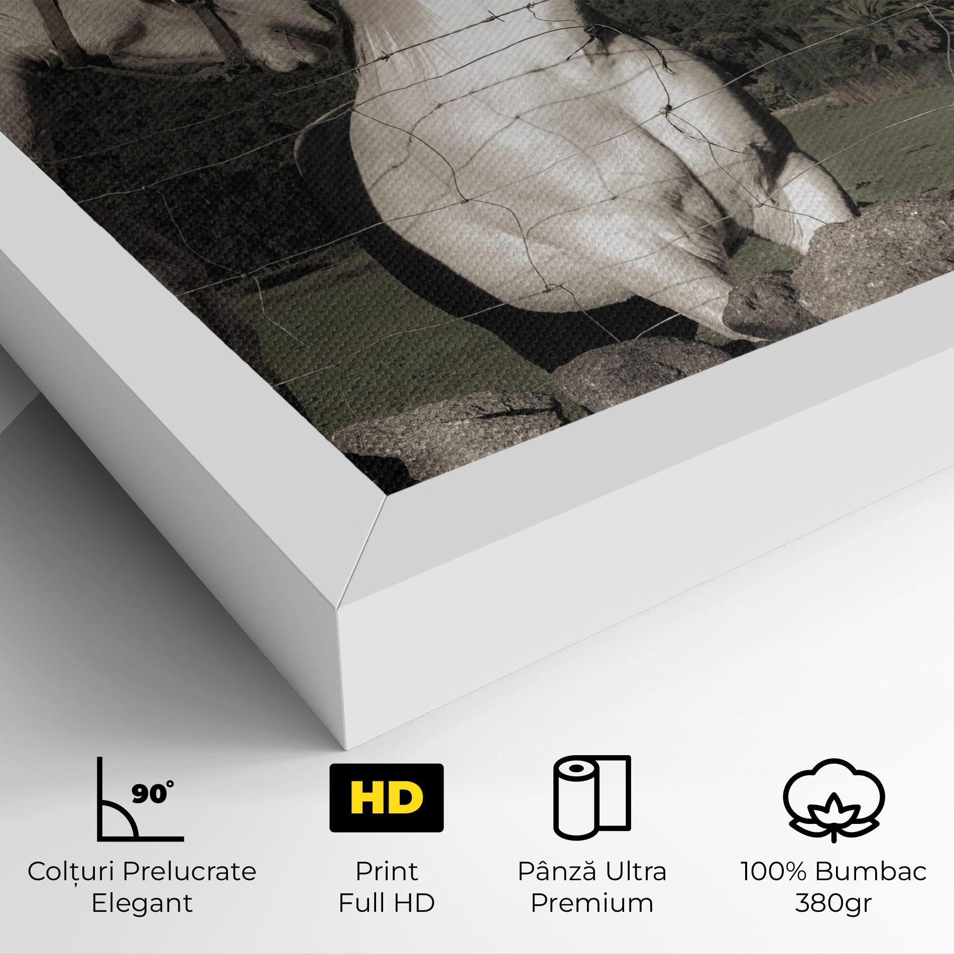 Tablou Canvas White Grey Horse mockup 4