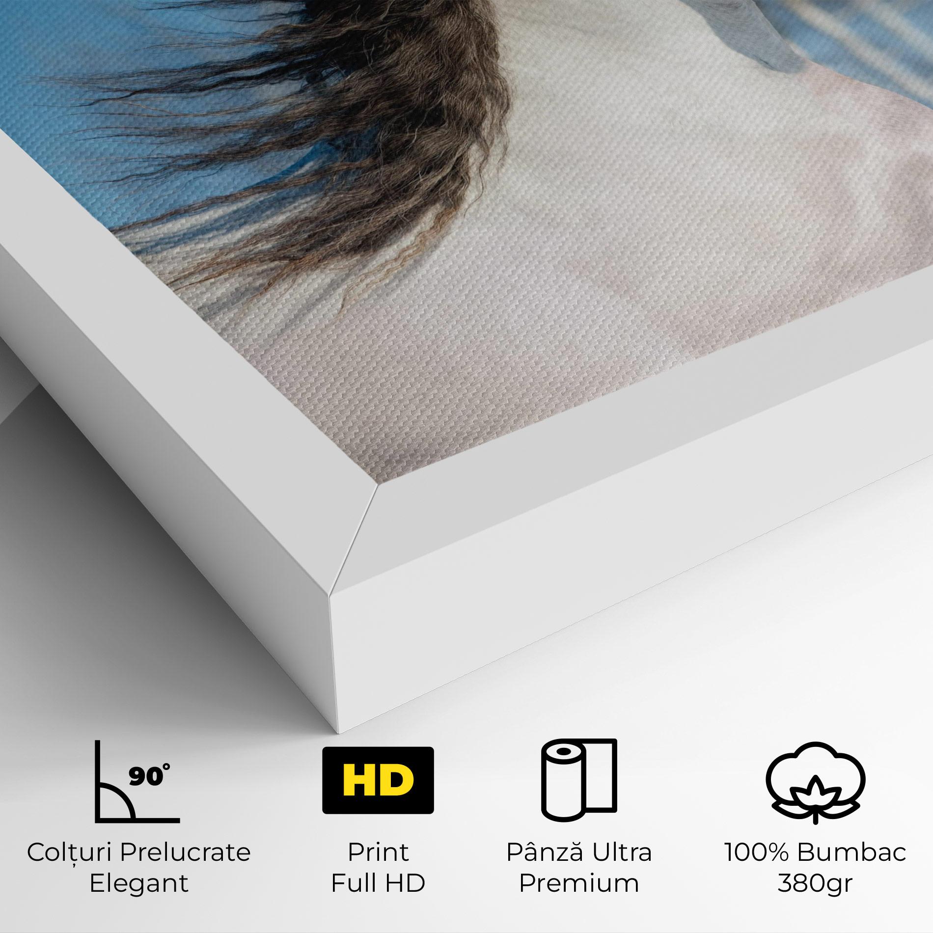 Tablou Canvas Wild Black Hair Horse mockup 4