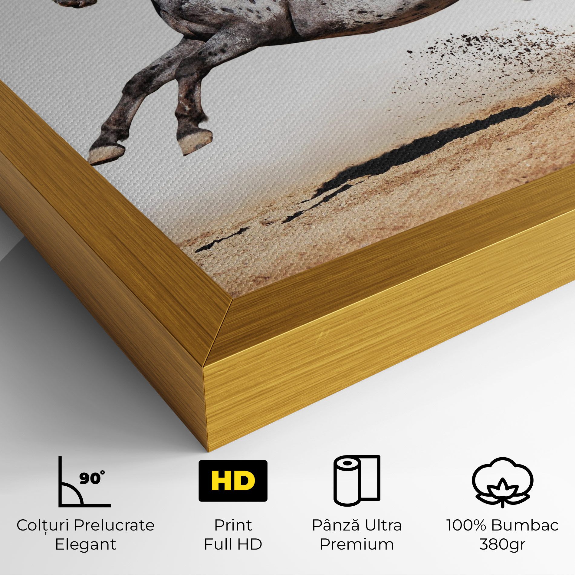 Appaloosa Horse Running mockup 4