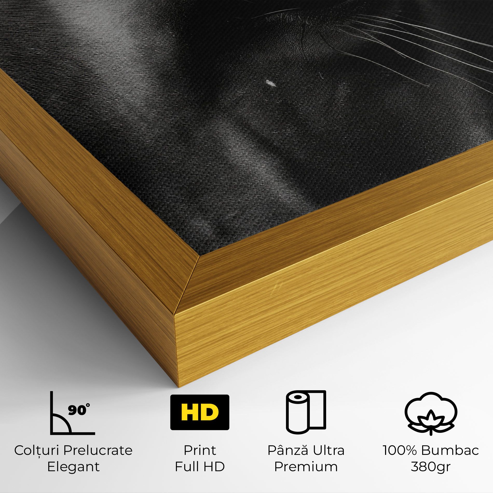 Black Horse Eye mockup 4