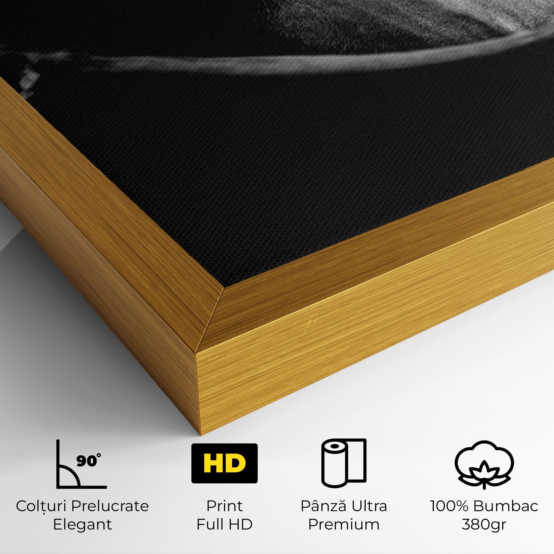 Black Horse Looking mockup 4