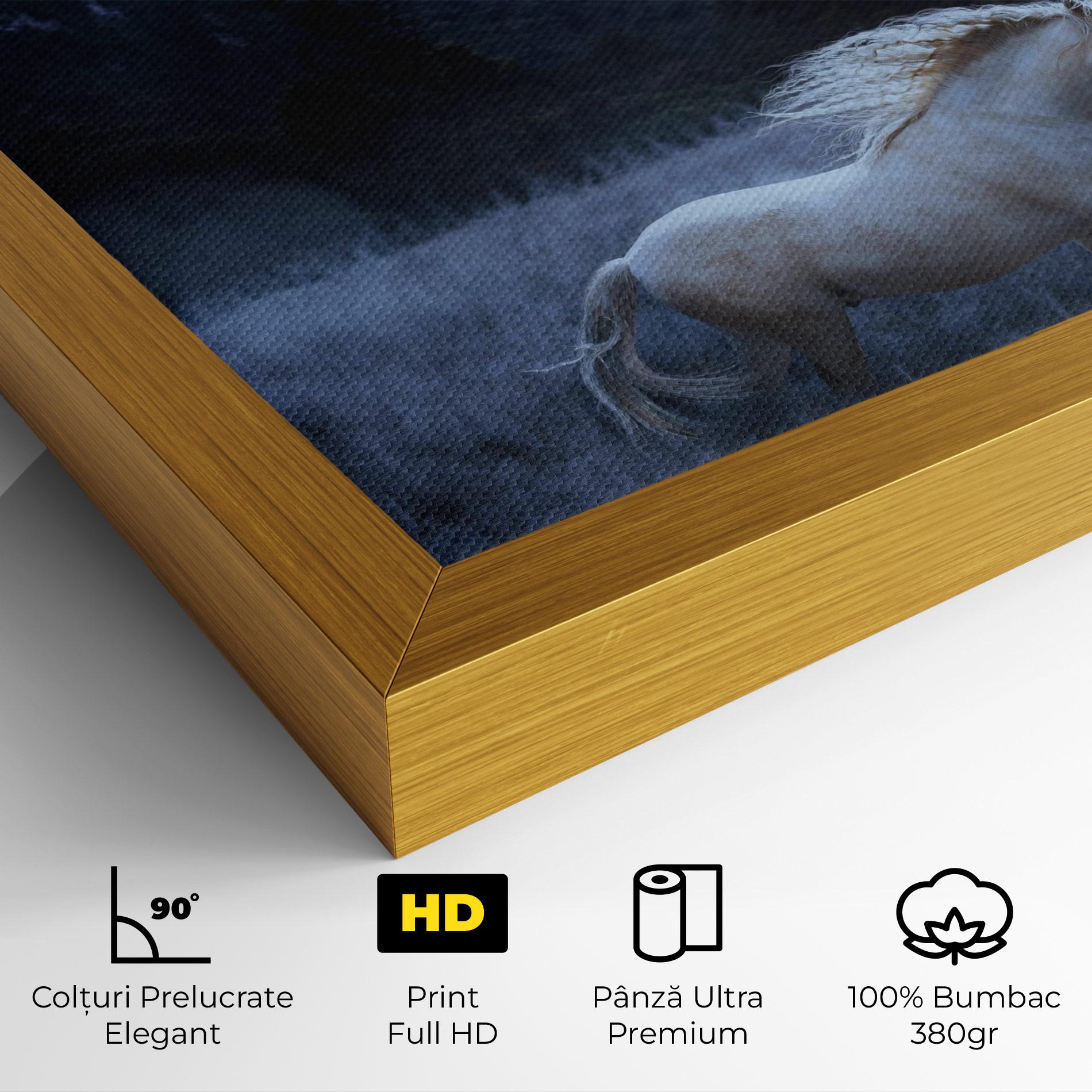 Tablou Canvas Blue Moon Unicorn mockup 4