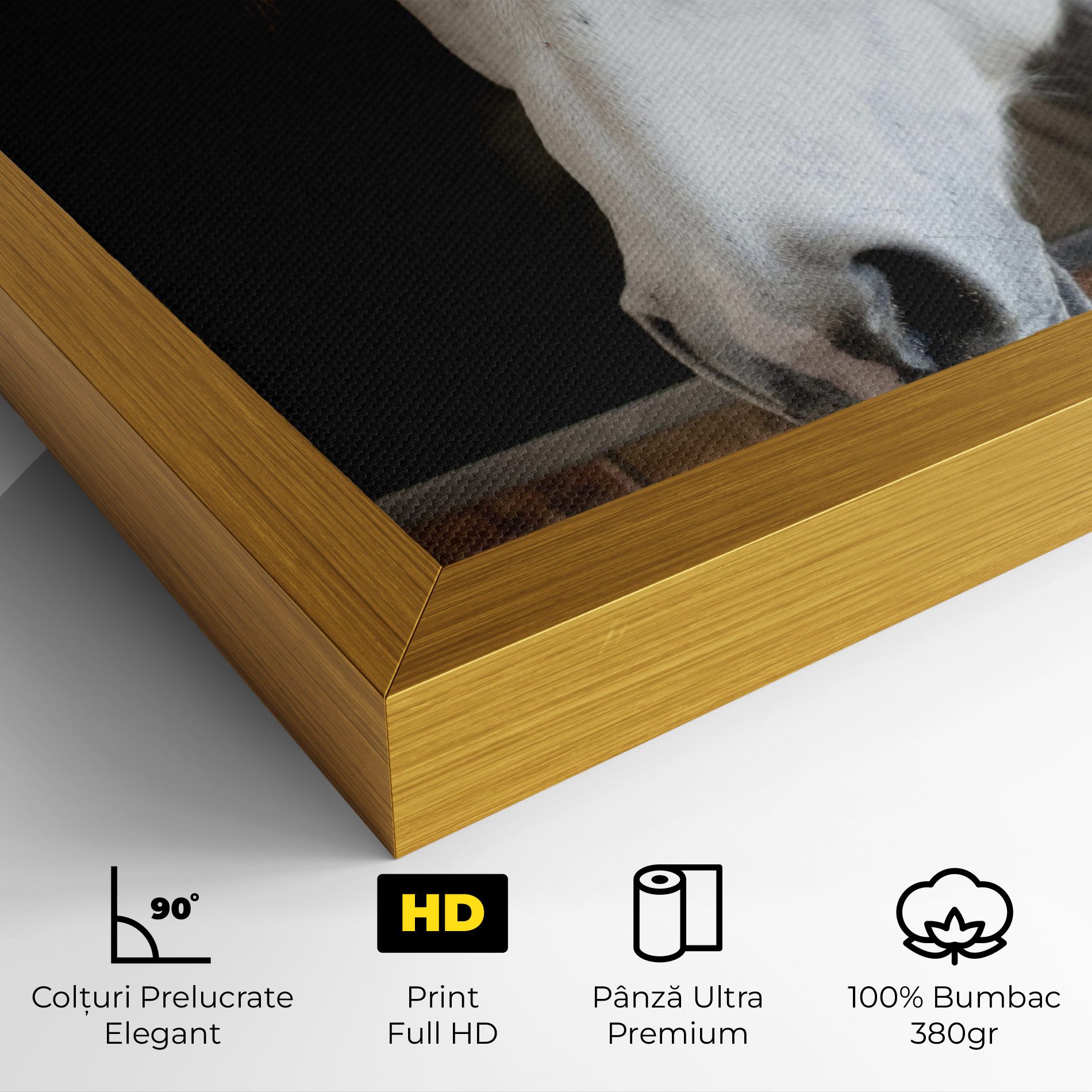 Grey Horse Head mockup 4