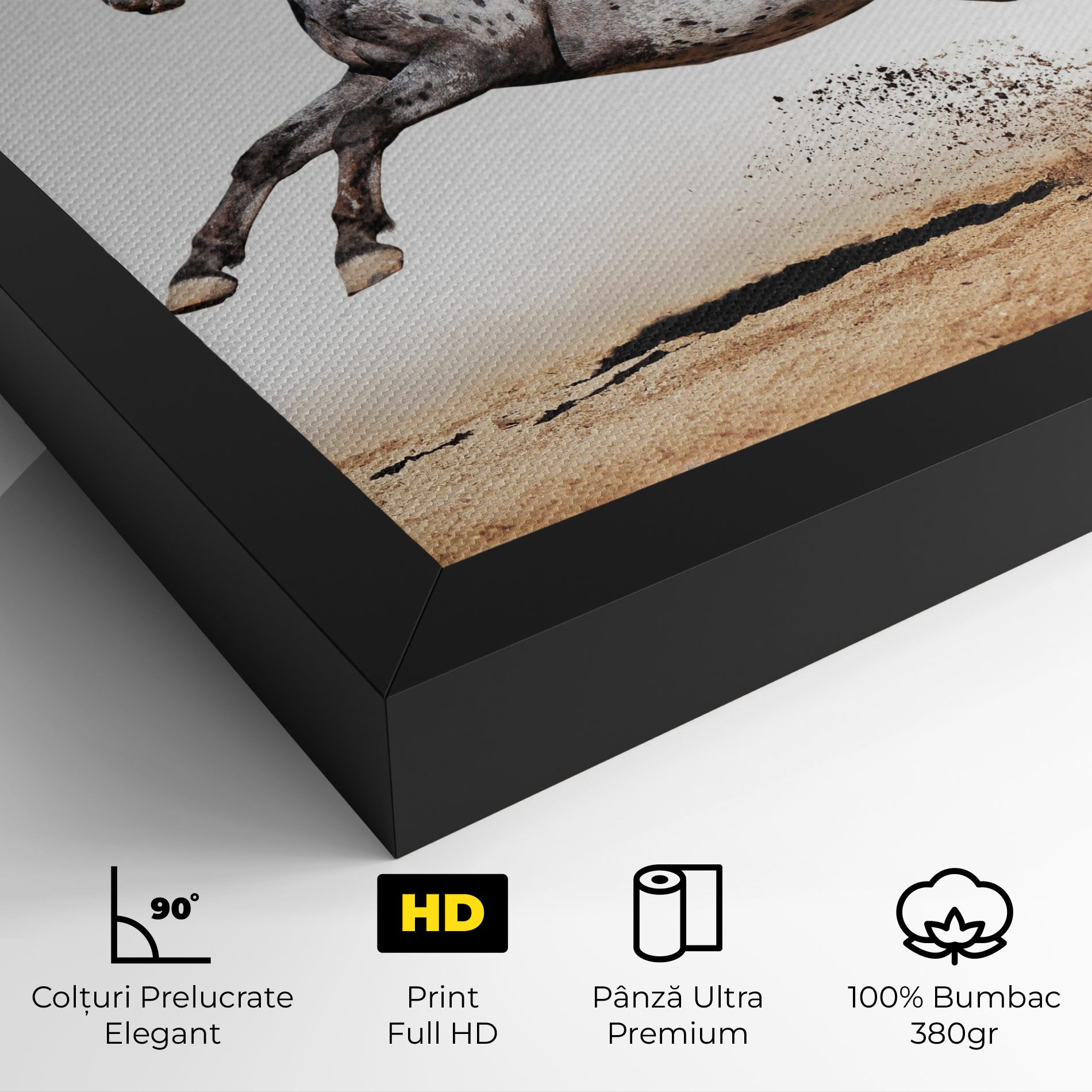 Appaloosa Horse Running mockup 4