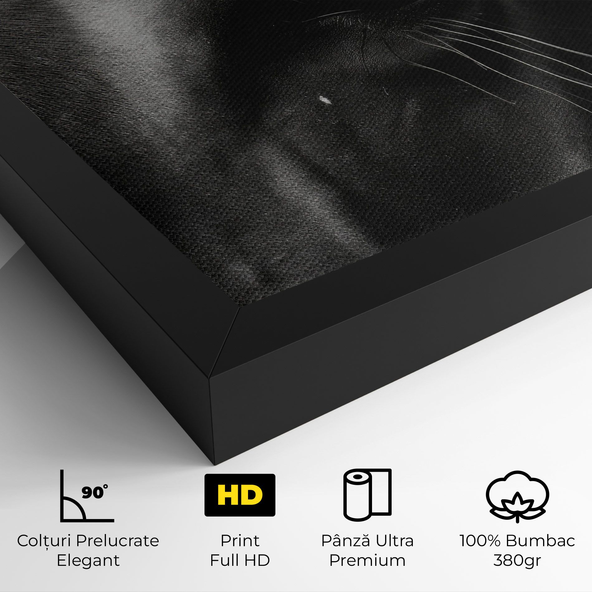 Black Horse Eye mockup 4