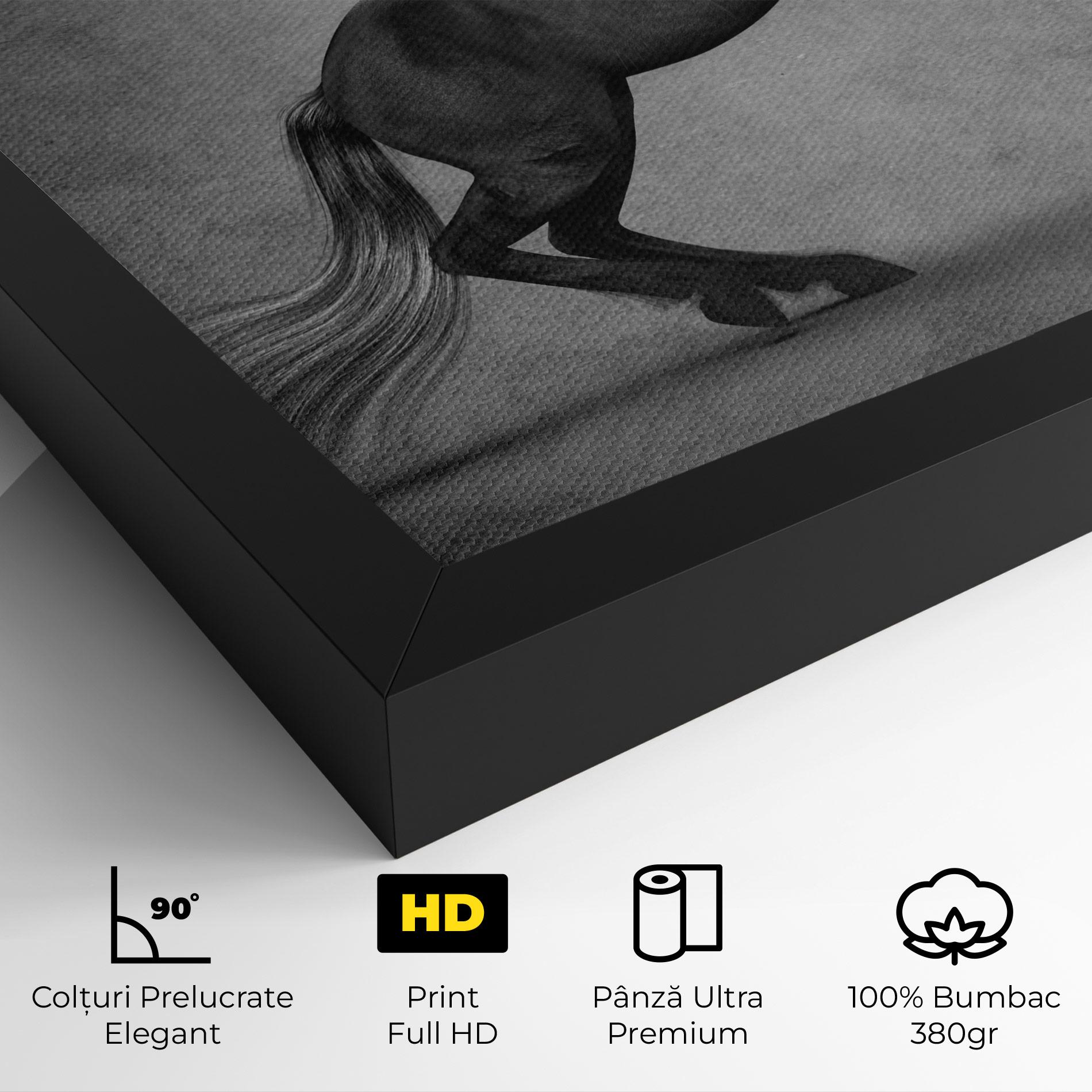 Tablou Canvas Black Horse Jumping mockup 4