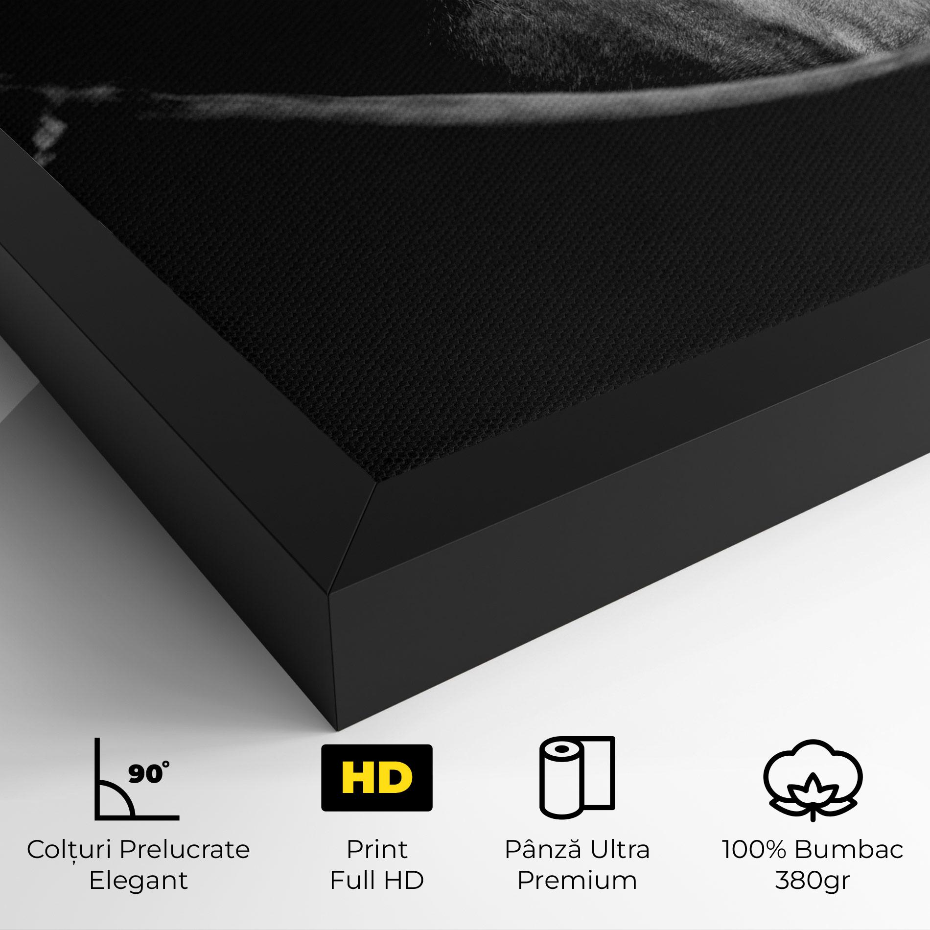 Tablou Canvas Black Horse Looking mockup 4