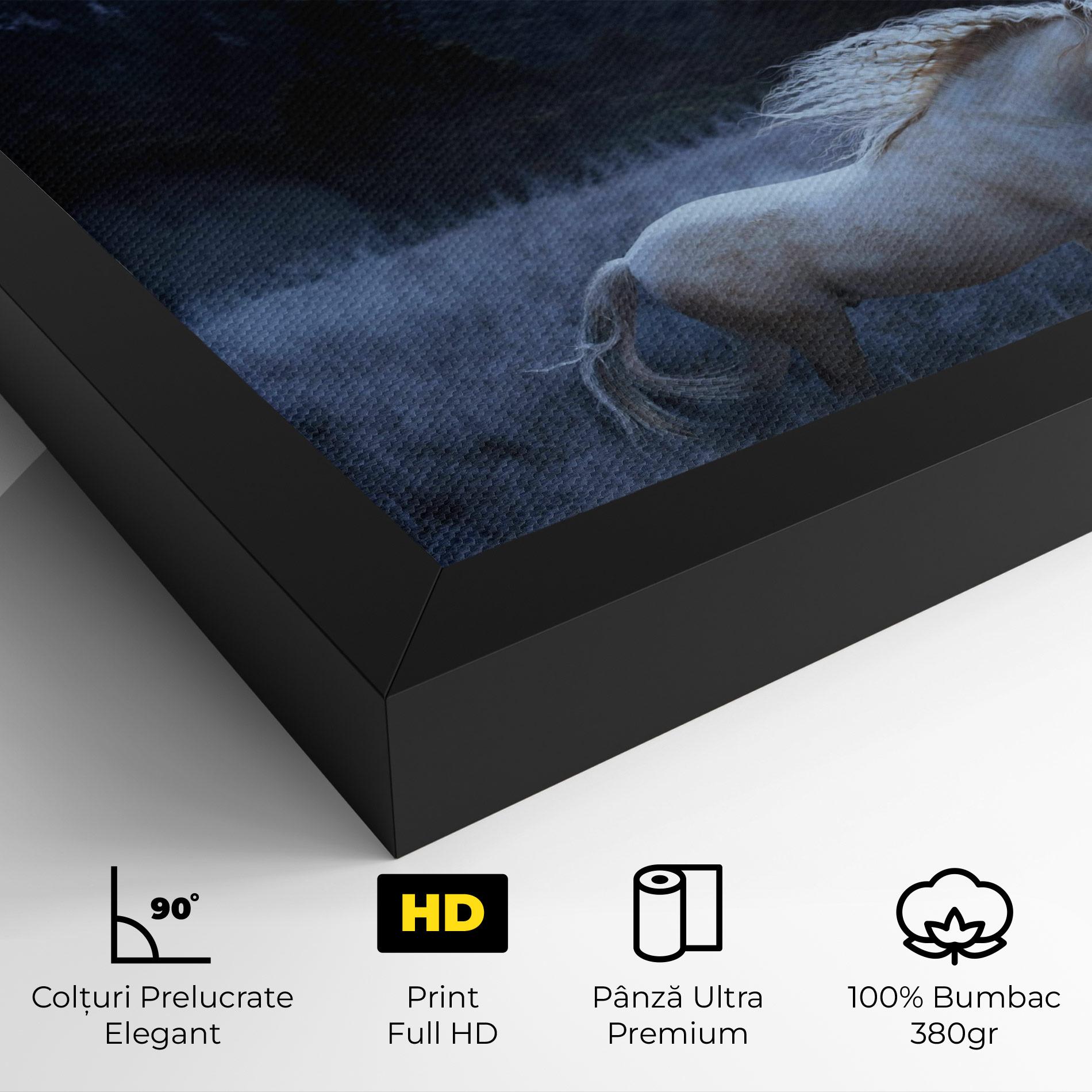 Tablou Canvas Blue Moon Unicorn mockup 4