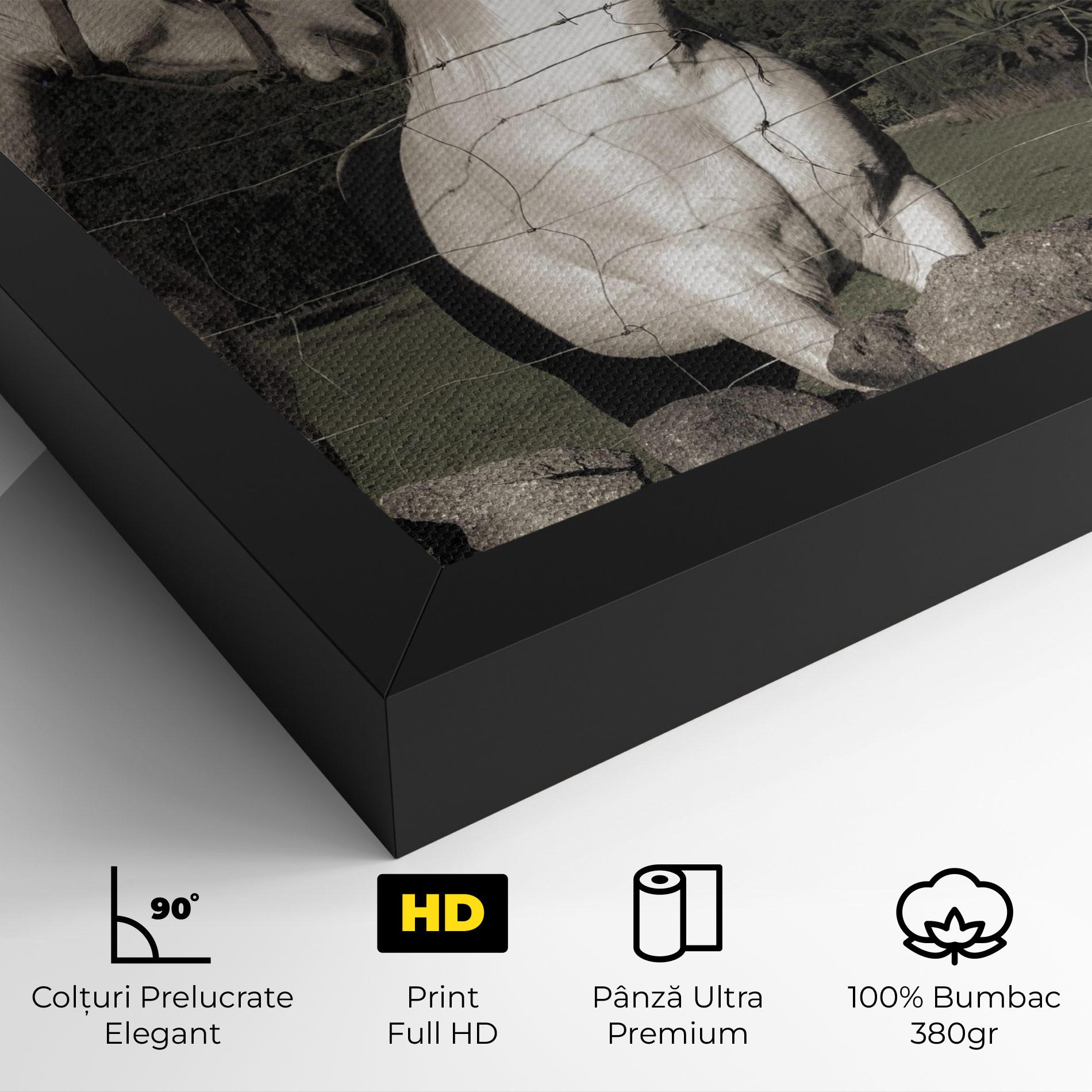 Tablou Canvas White Grey Horse mockup 4