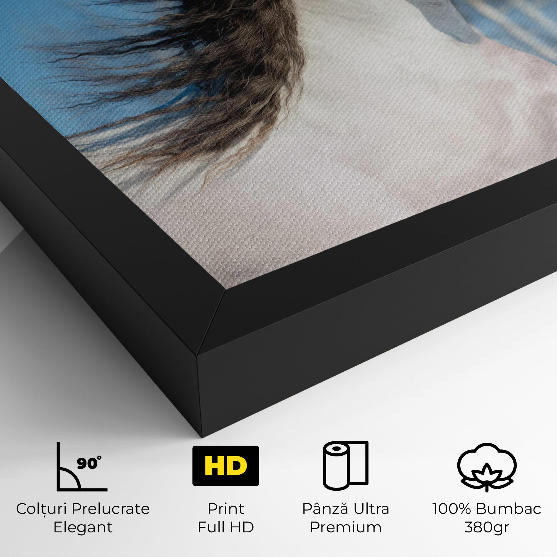 Tablou Canvas Wild Black Hair Horse mockup 4