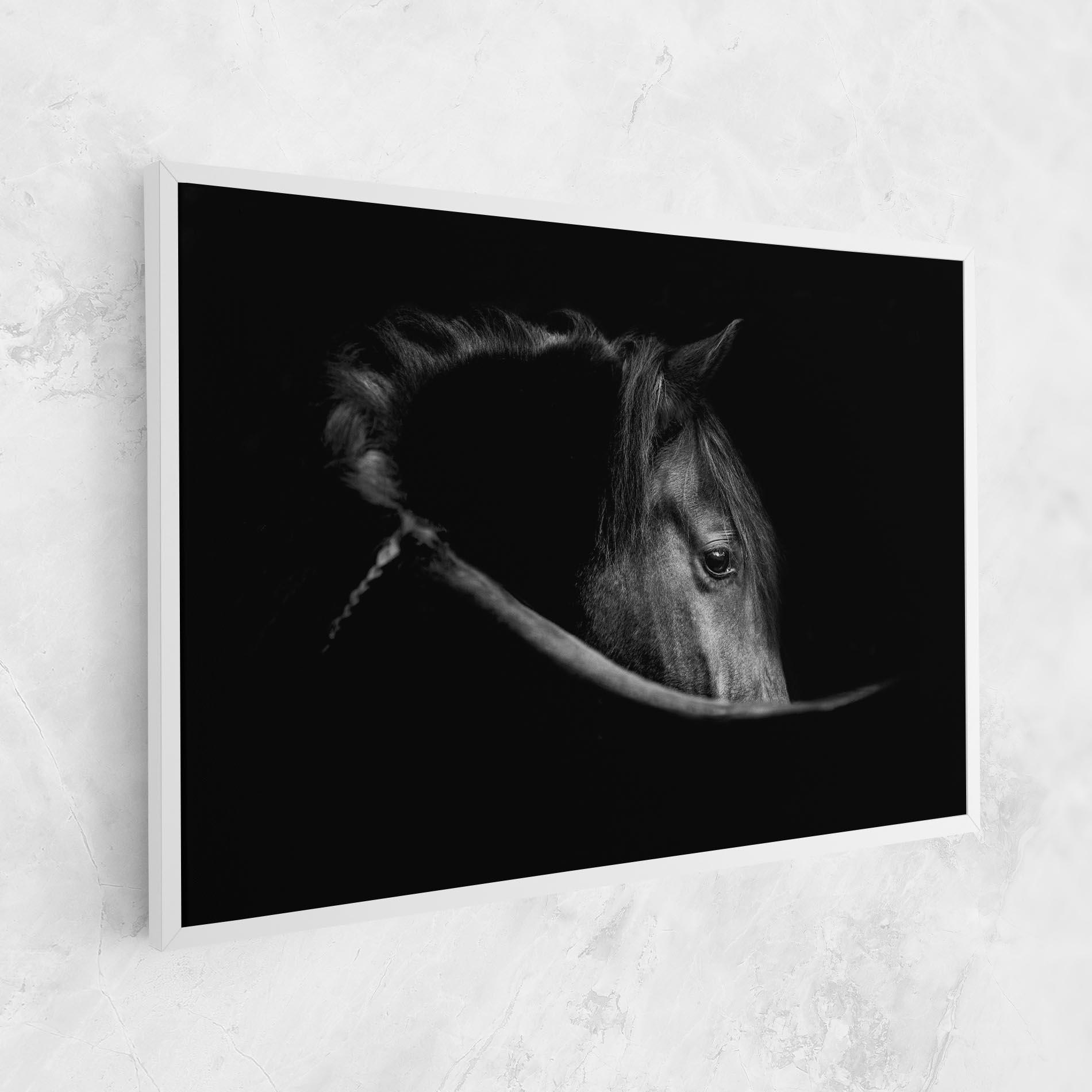 Tablou Canvas Black Horse Looking mockup 1