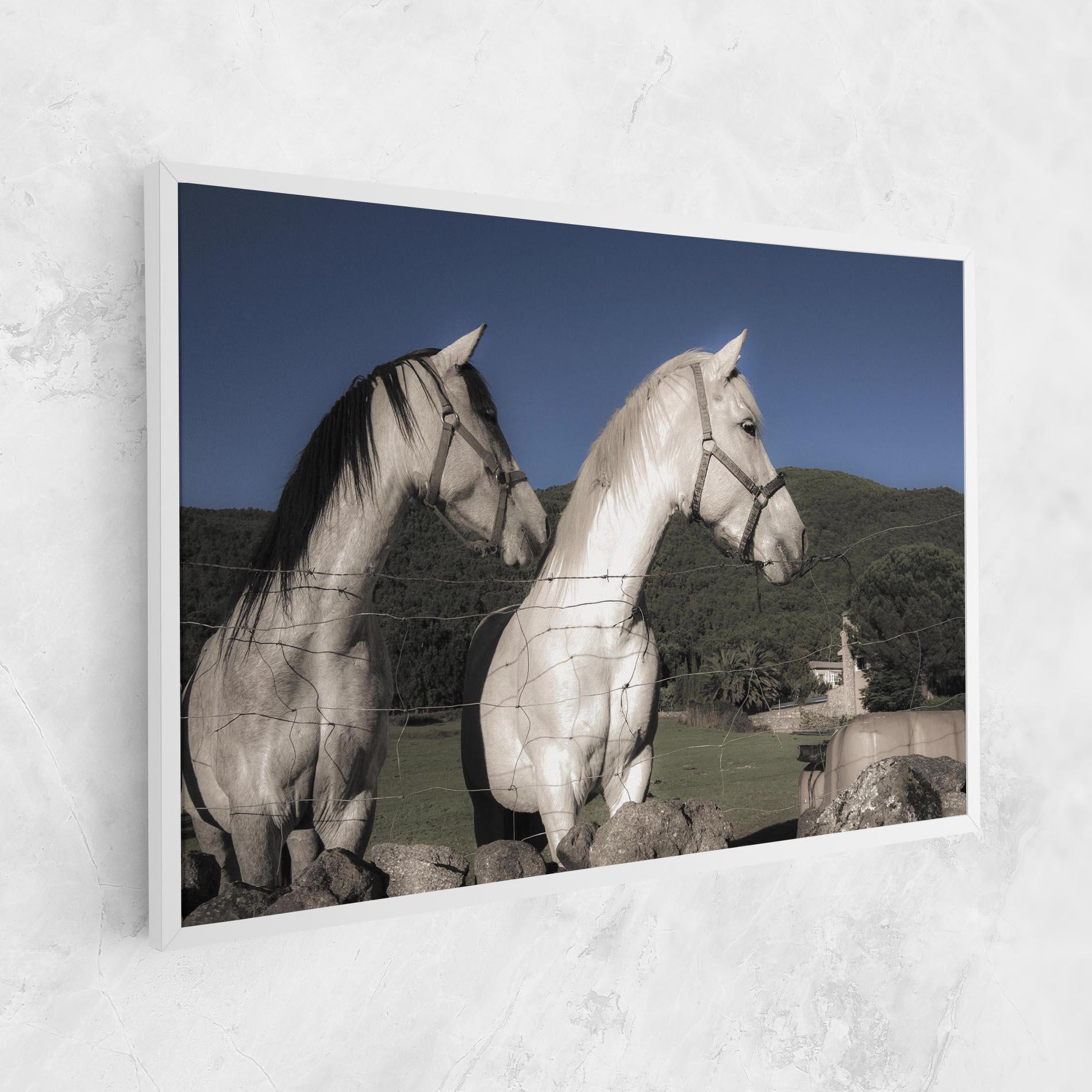 Tablou Canvas White Grey Horse mockup 1