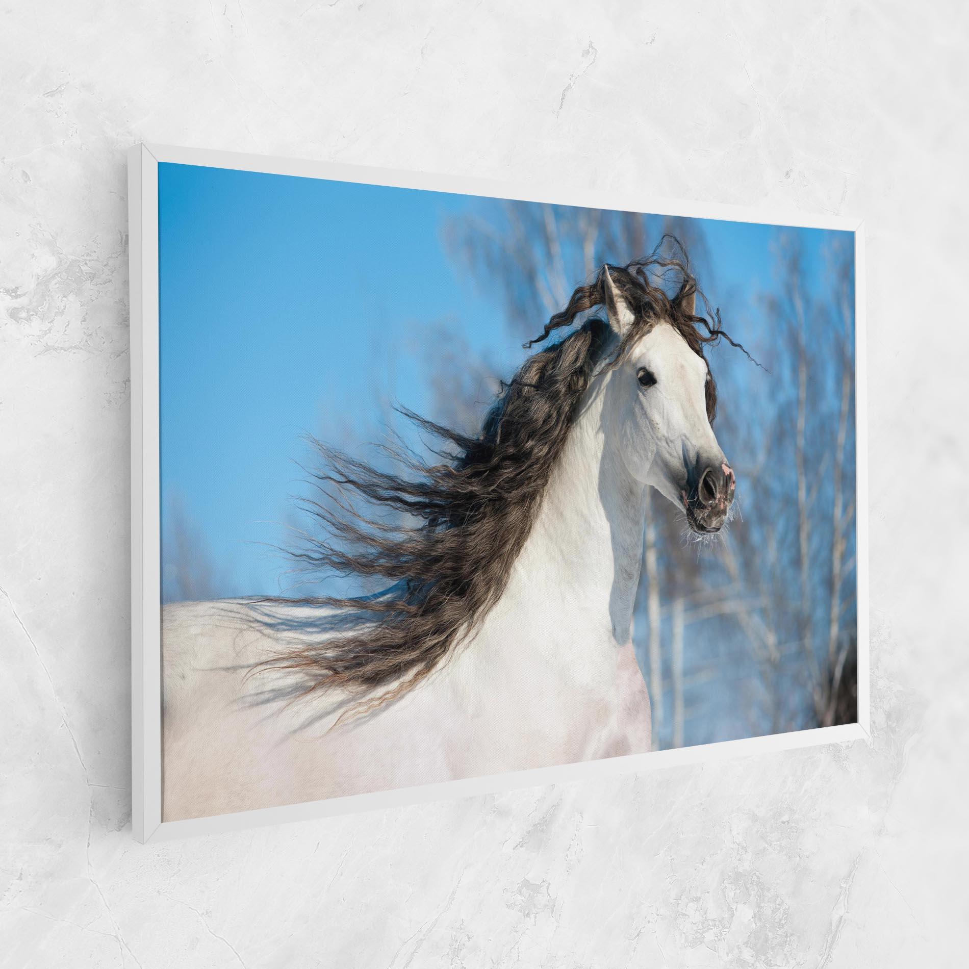Tablou Canvas Wild Black Hair Horse mockup 1