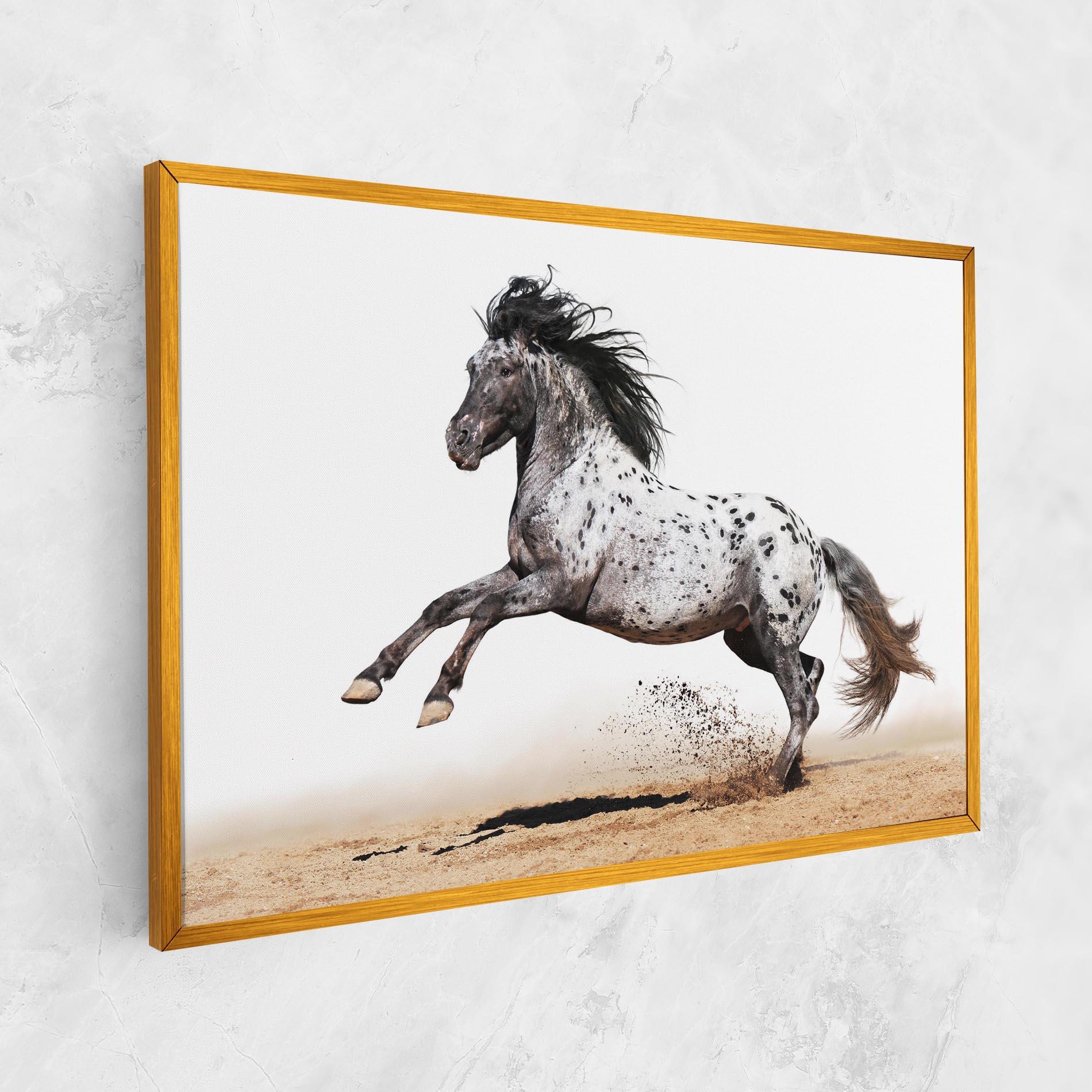 Tablou Canvas Appaloosa Horse Running mockup 1