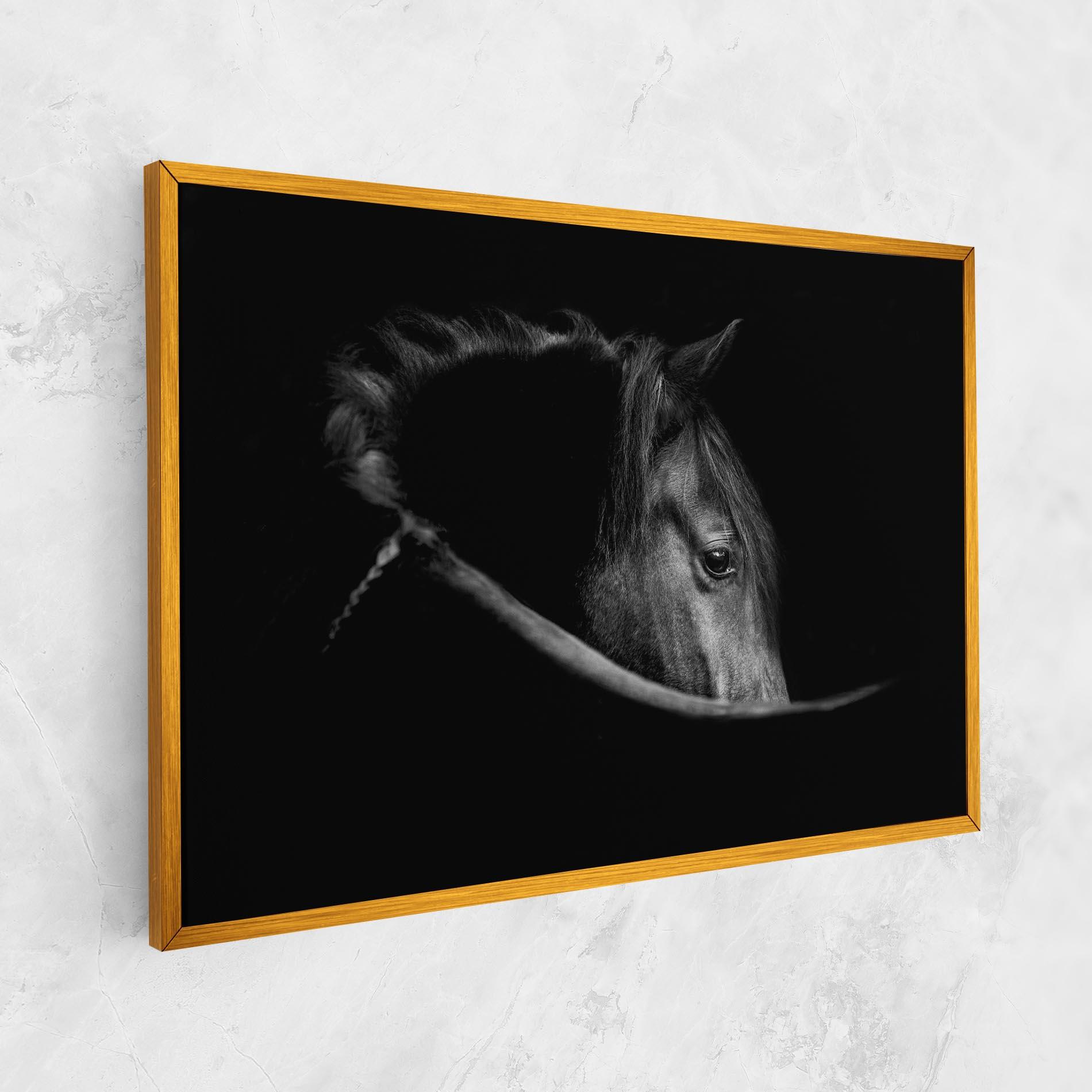 Tablou Canvas Black Horse Looking mockup 1