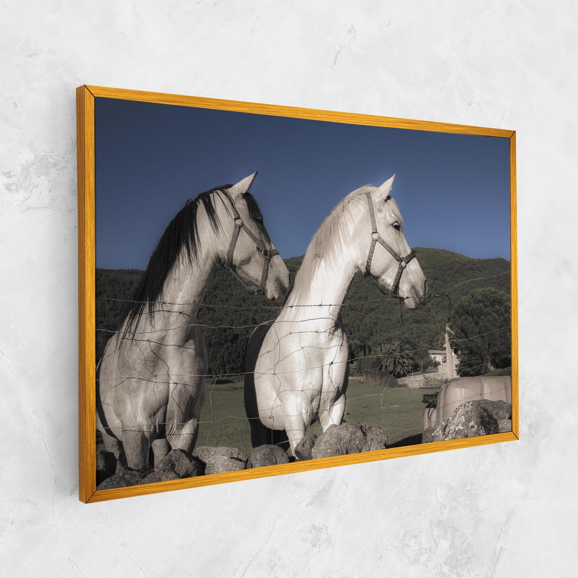 Tablou Canvas White Grey Horse mockup 1