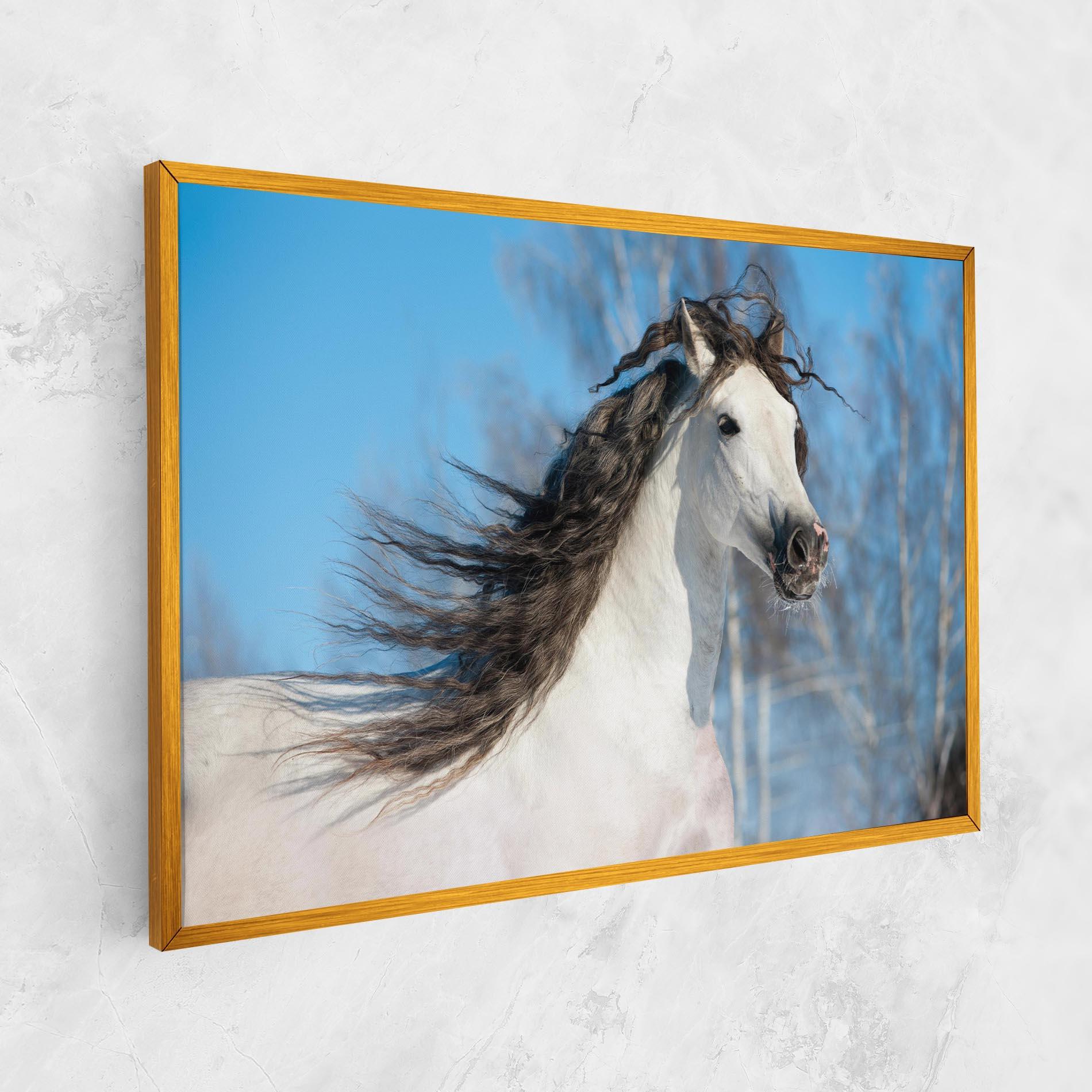 Tablou Canvas Wild Black Hair Horse mockup 1