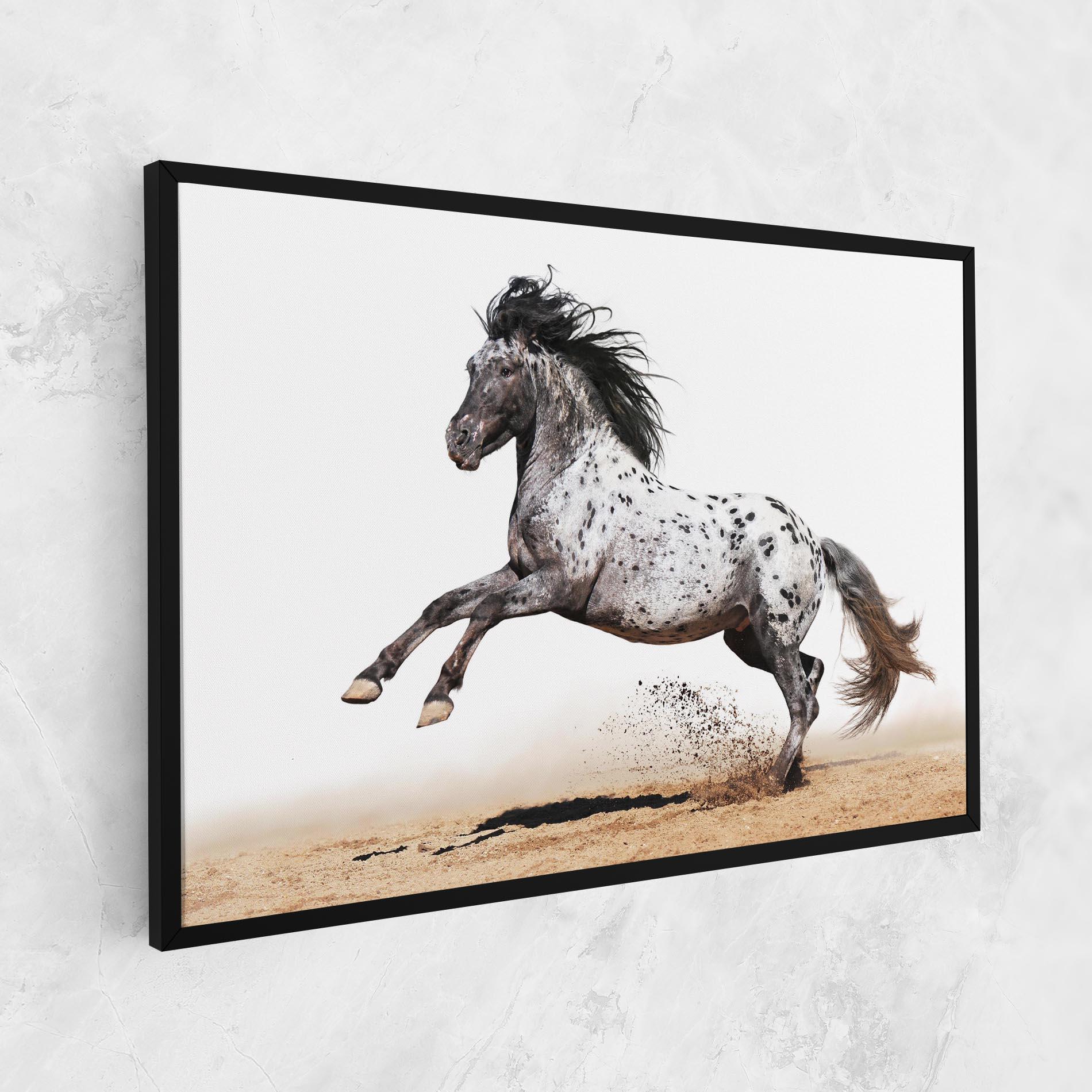 Tablou Canvas Appaloosa Horse Running mockup 1