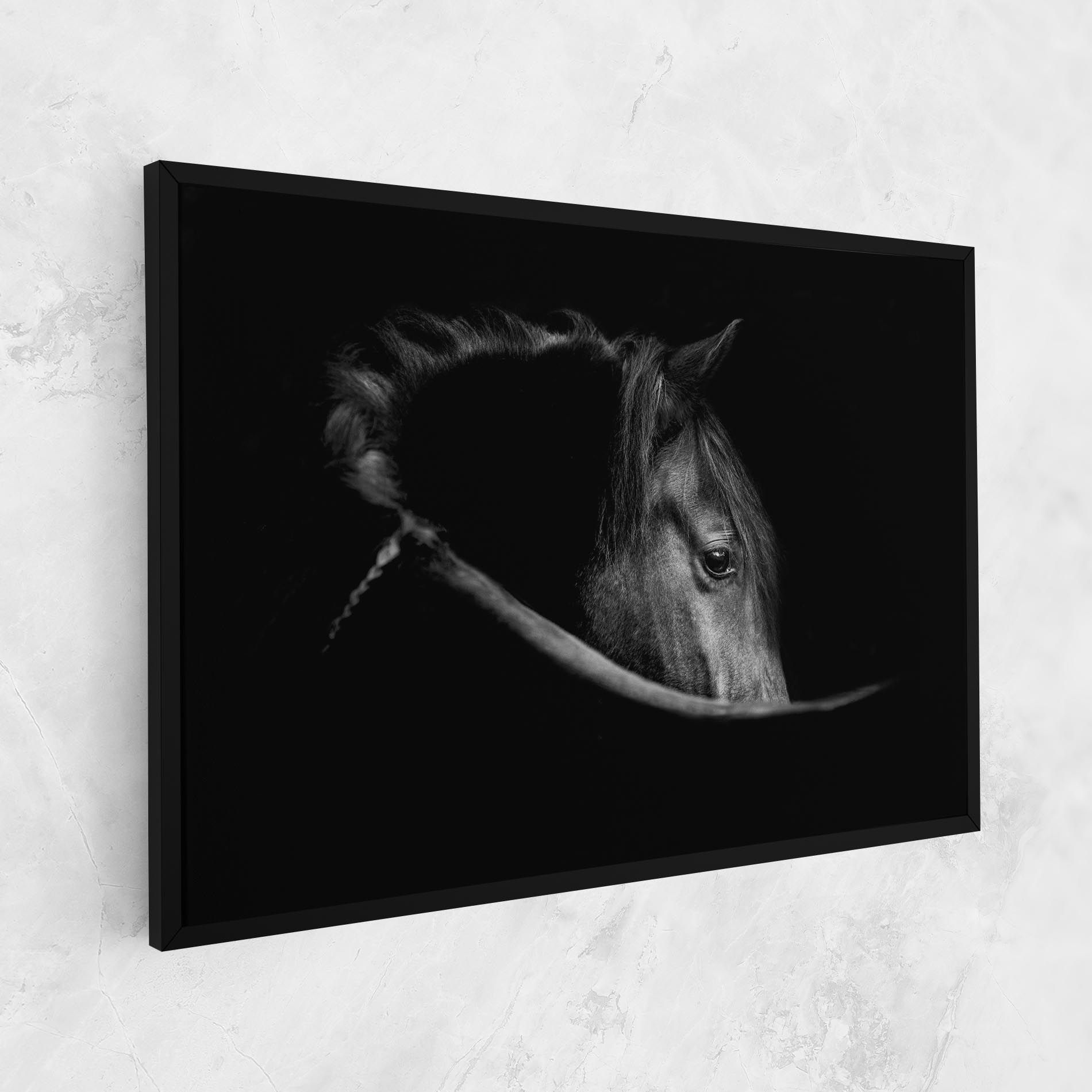 Black Horse Looking mockup 1