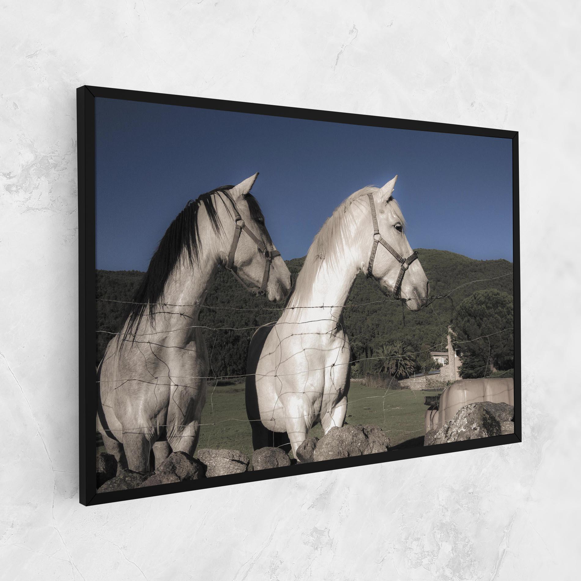 Tablou Canvas White Grey Horse mockup 1