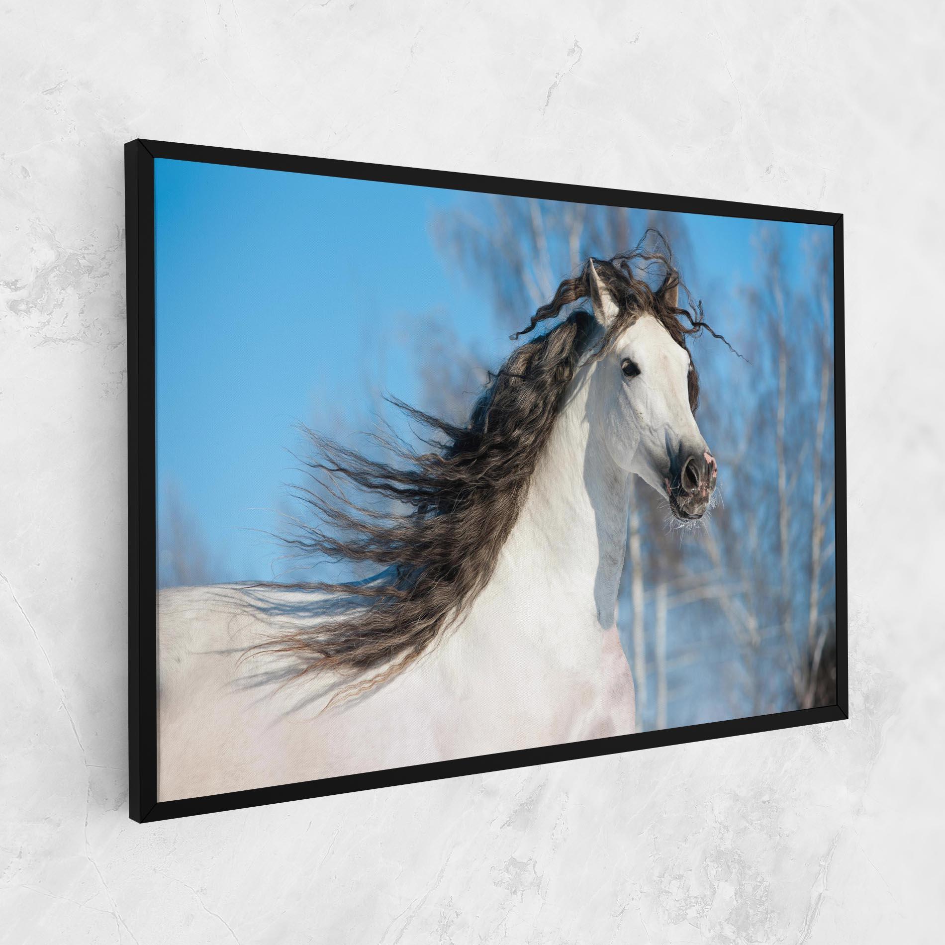 Tablou Canvas Wild Black Hair Horse mockup 1