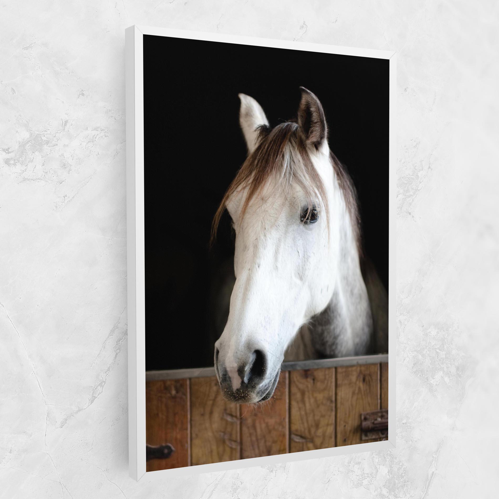 Tablou Canvas Grey Horse Head mockup 1