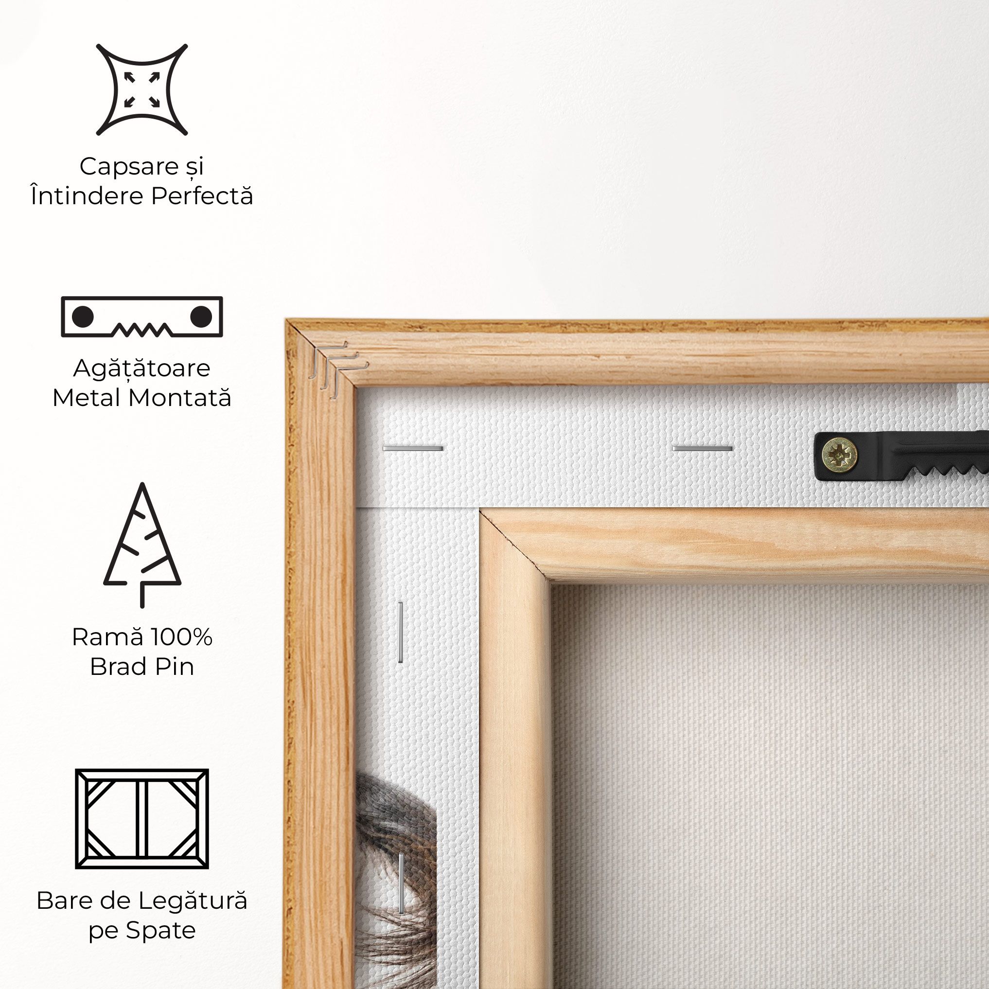 Appaloosa Horse Running mockup 5