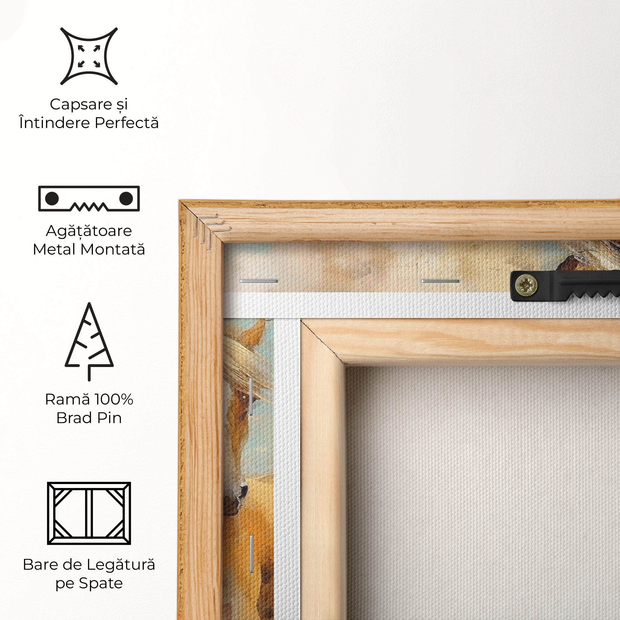 Brown Horses Staying mockup 5