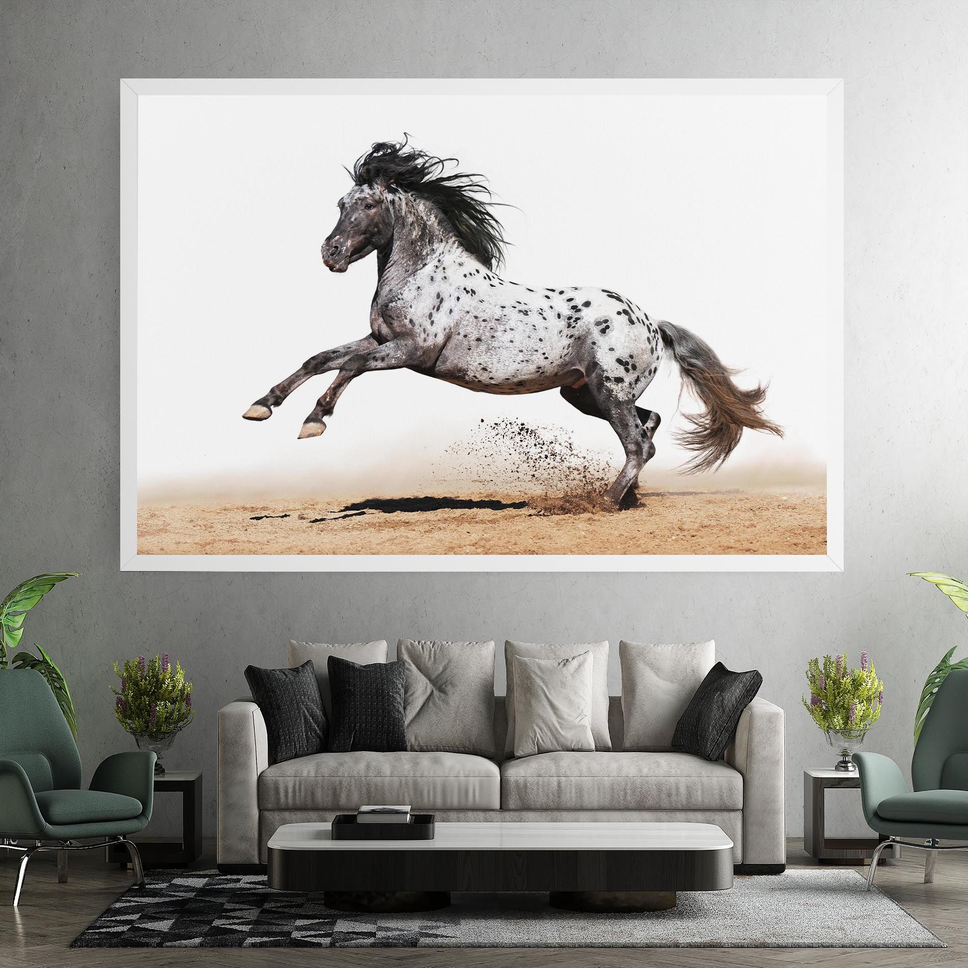 Appaloosa Horse Running mockup 7