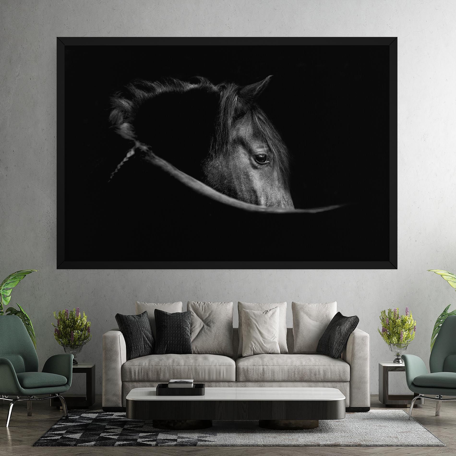 Black Horse Looking mockup 7