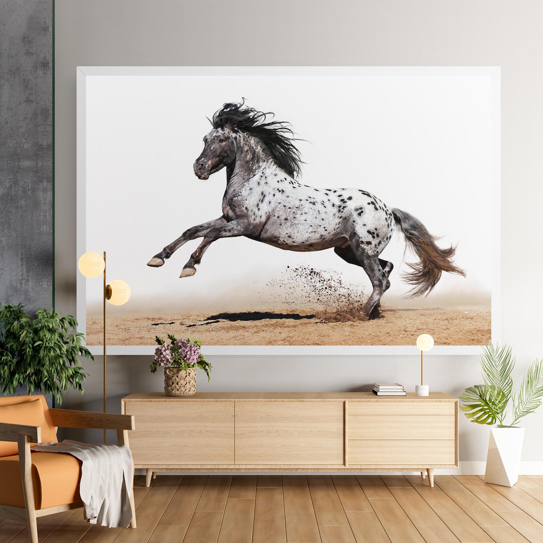 Tablou Canvas Appaloosa Horse Running mockup 9