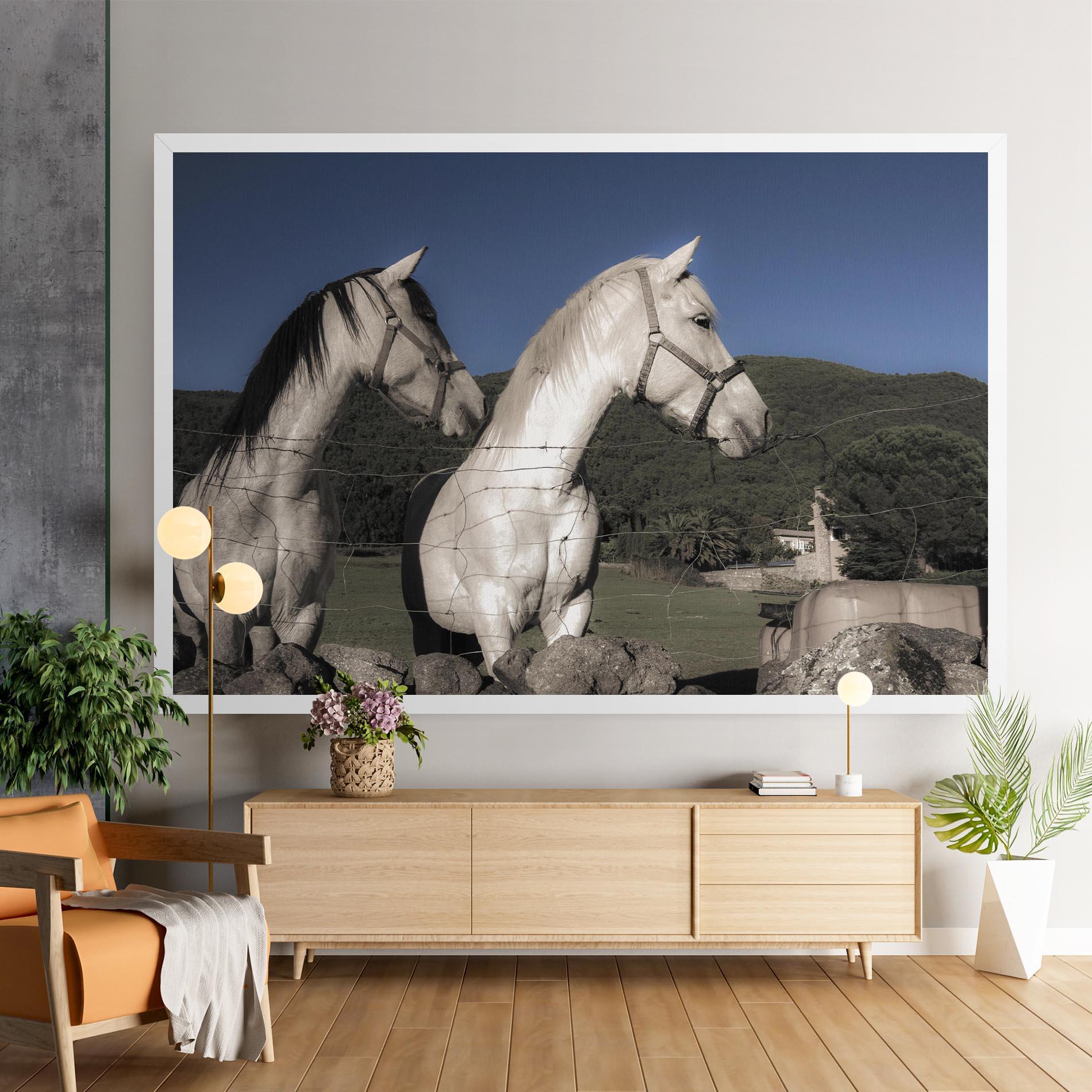 Tablou Canvas White Grey Horse mockup 9